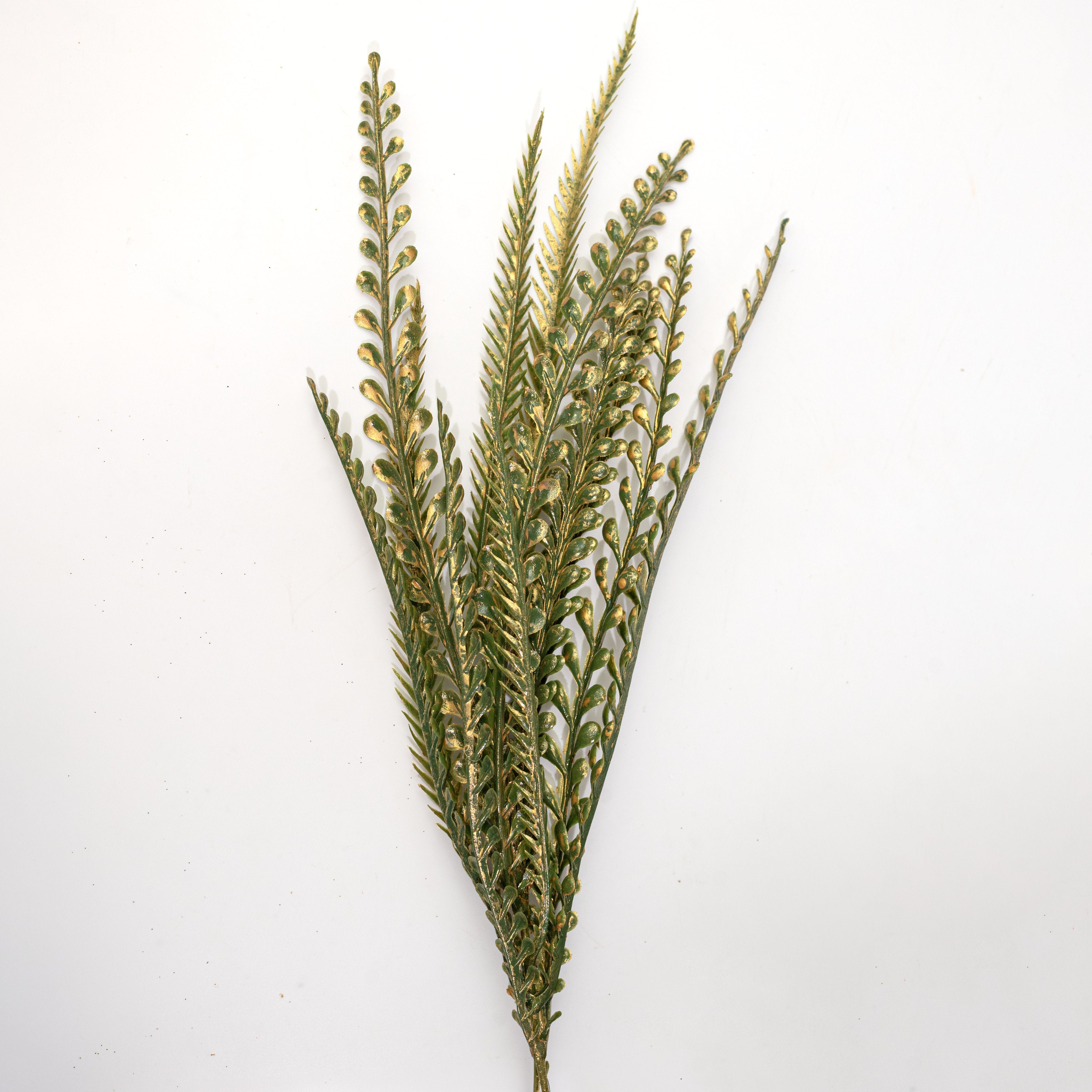 19" Metallic Button Fern Bush: Green & Gold (7 Stem) detail photo 4