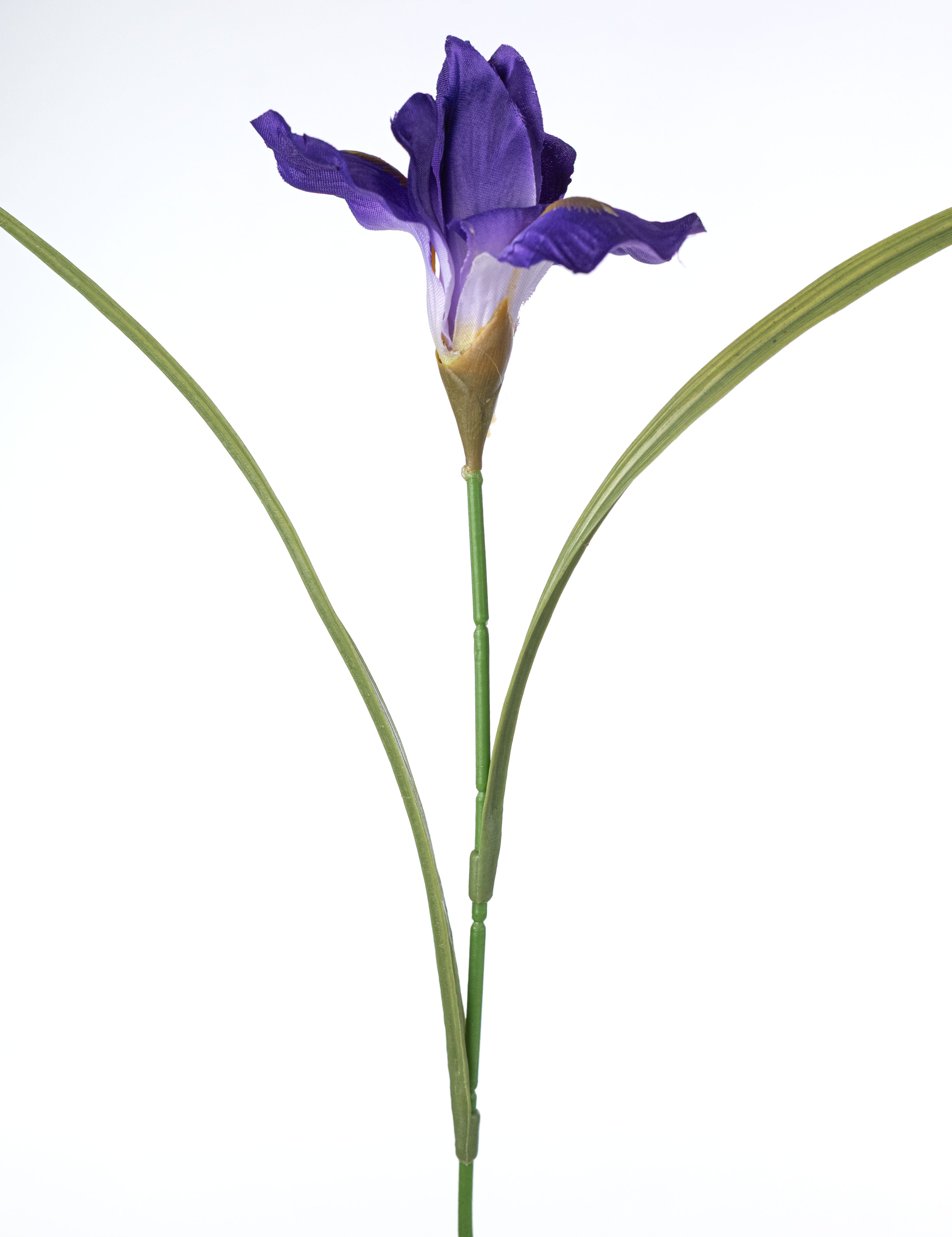 20" Artificial Iris Bush: Purple (12 Stem) detail photo 5