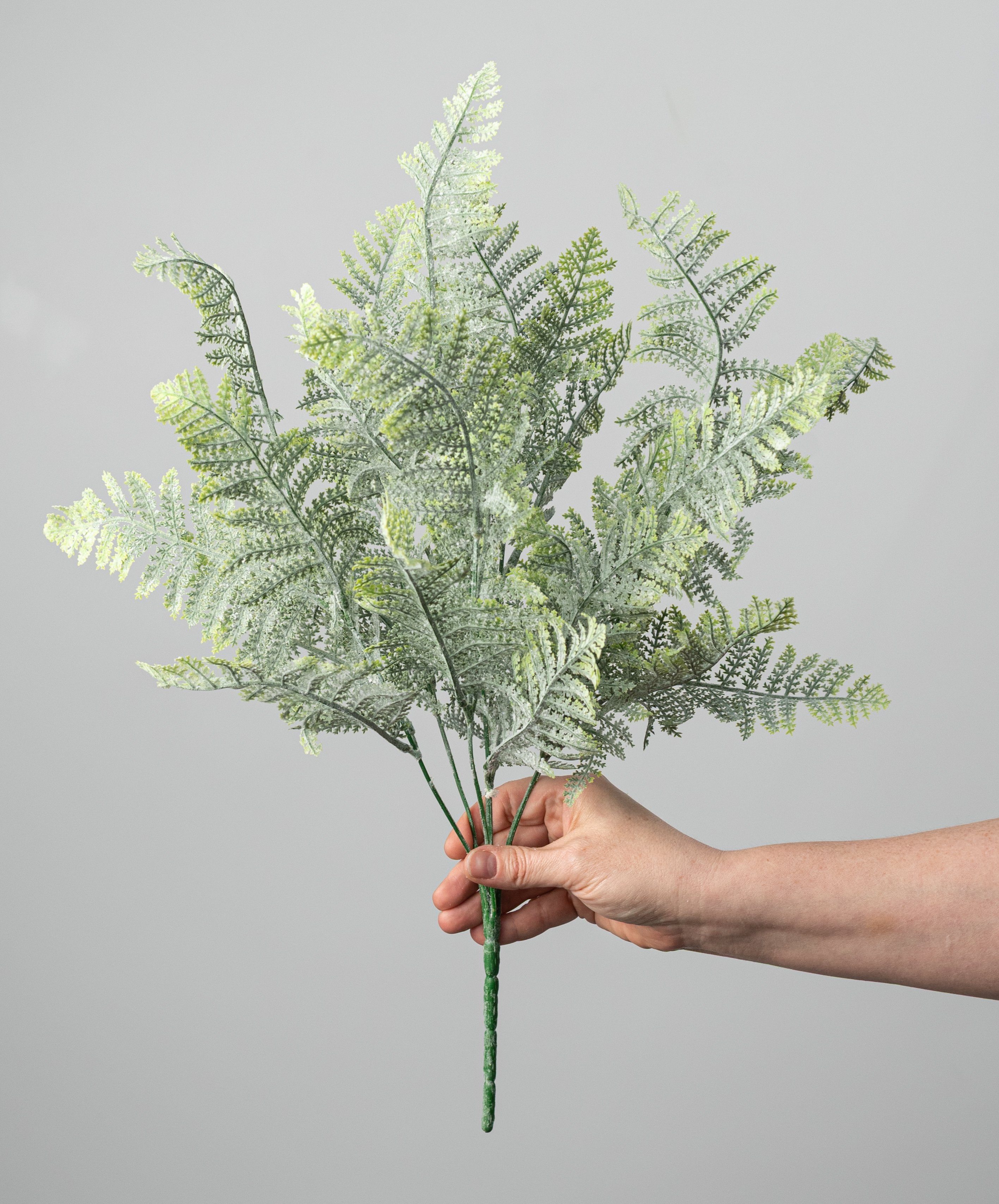 20" Flocked Plastic Fern Bush: Green (7 Stem) detail photo 3