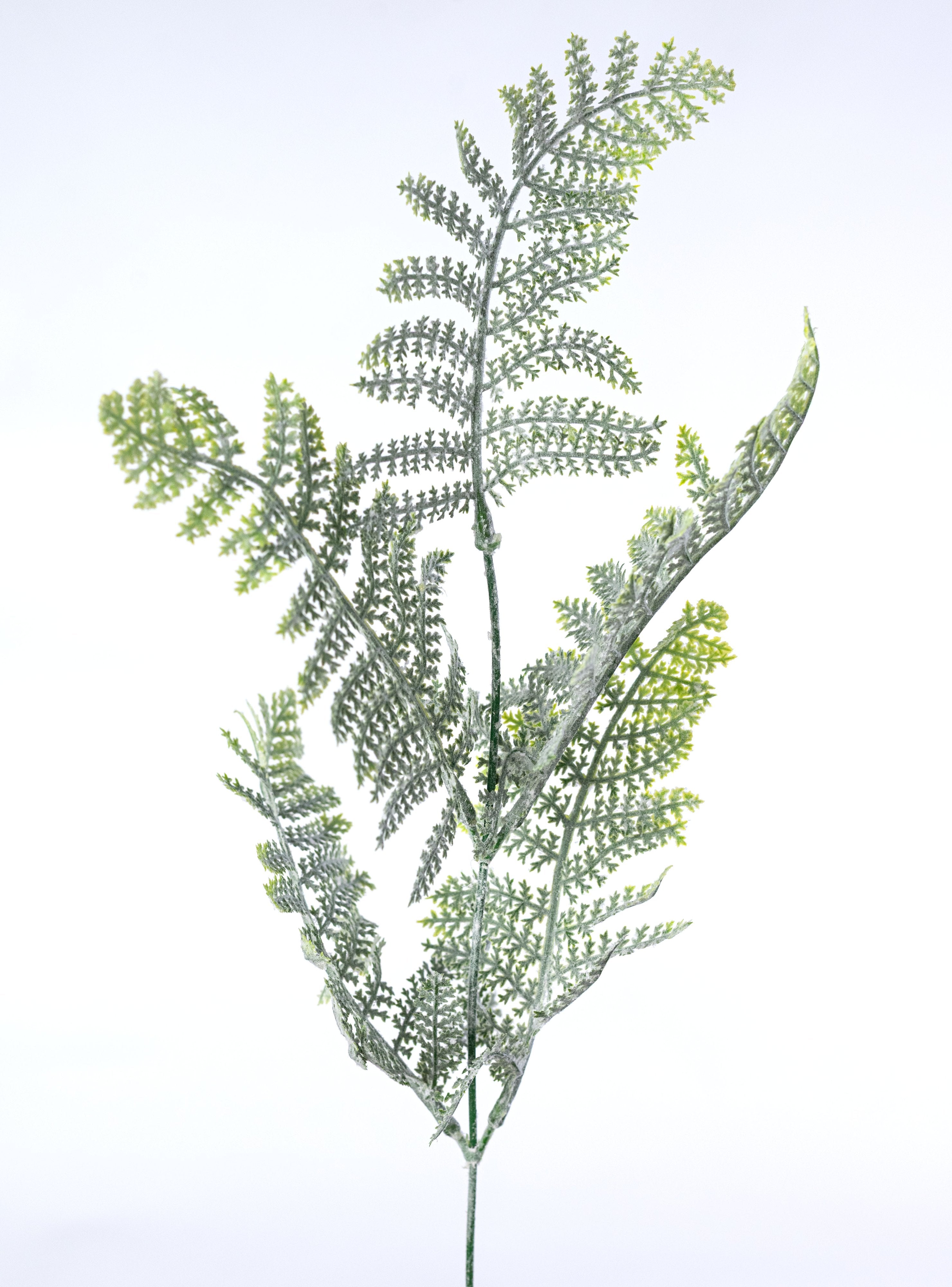 20" Flocked Plastic Fern Bush: Green (7 Stem) detail photo 4