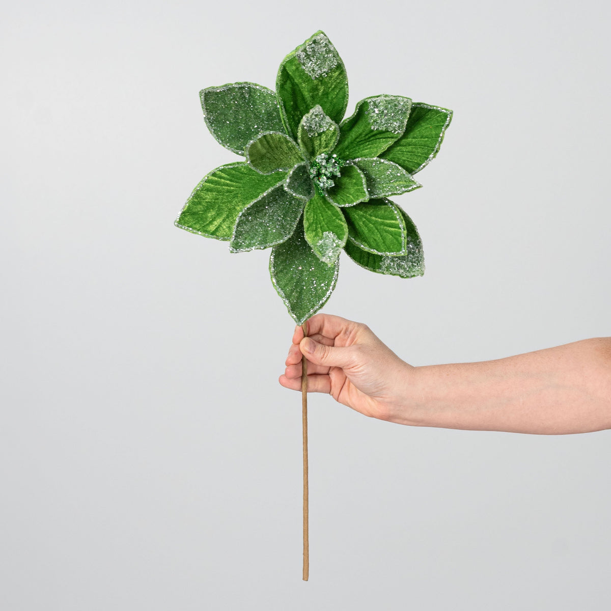 20" Frosted Velvet Poinsettia Stem: Kelly Green detail photo 3