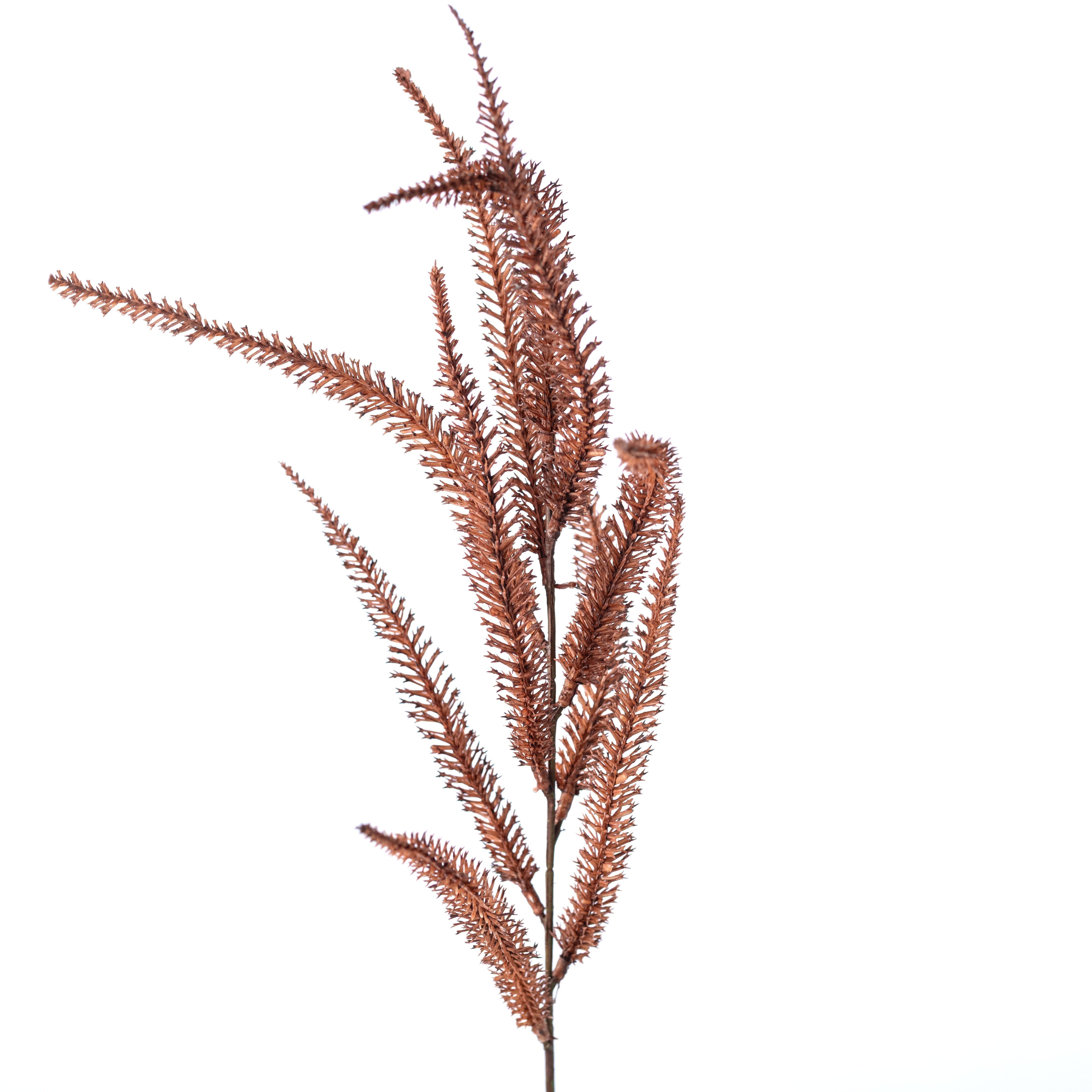 20" Lavender Spike Bush: Brown (7 Stem) detail photo 4