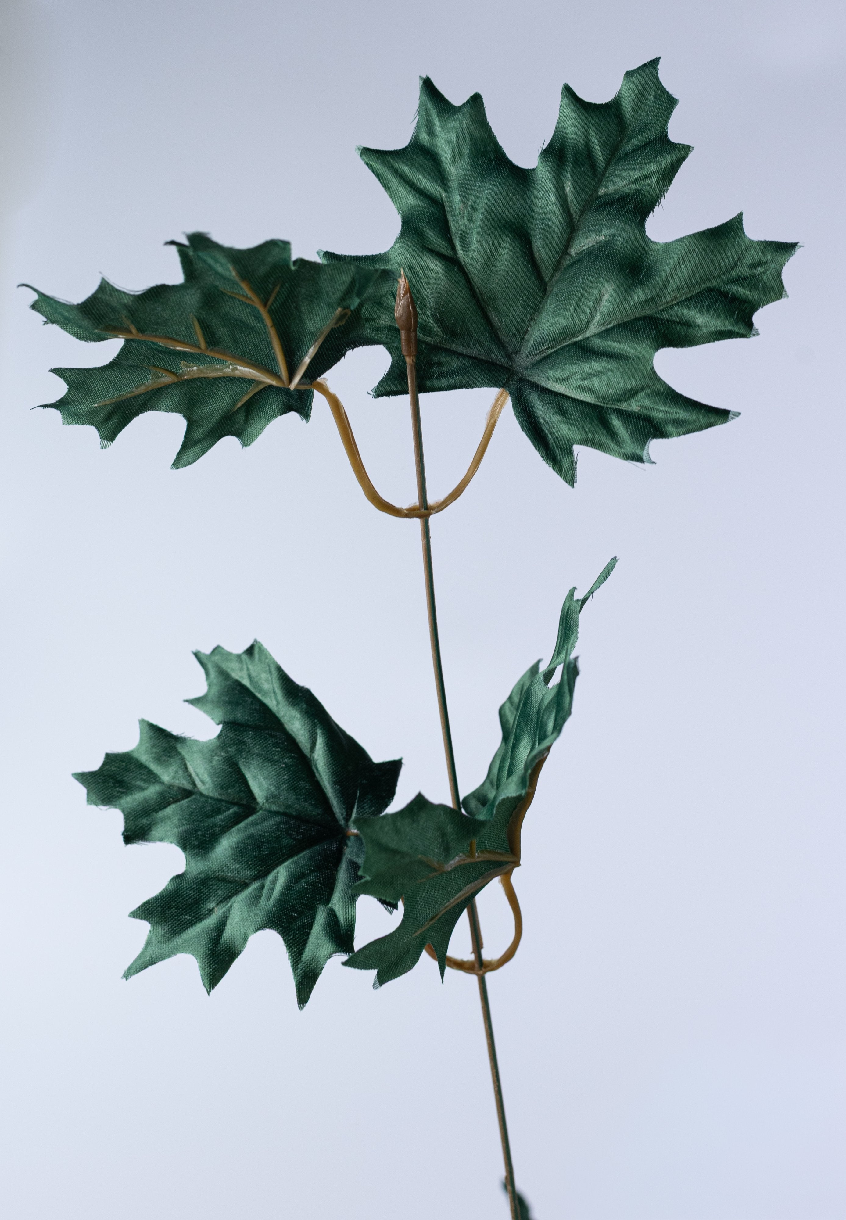 20" Maple Leaf Bush: Hunter Green (12 Stem) detail photo 4