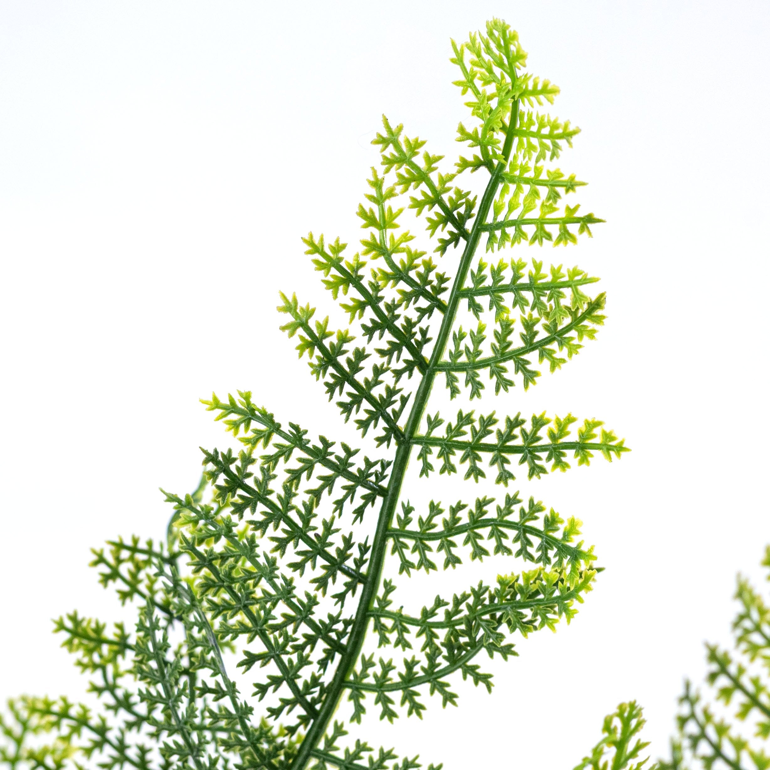 20" Plastic Fern Bush: Green (7 Stem) Lifestyle Photo
