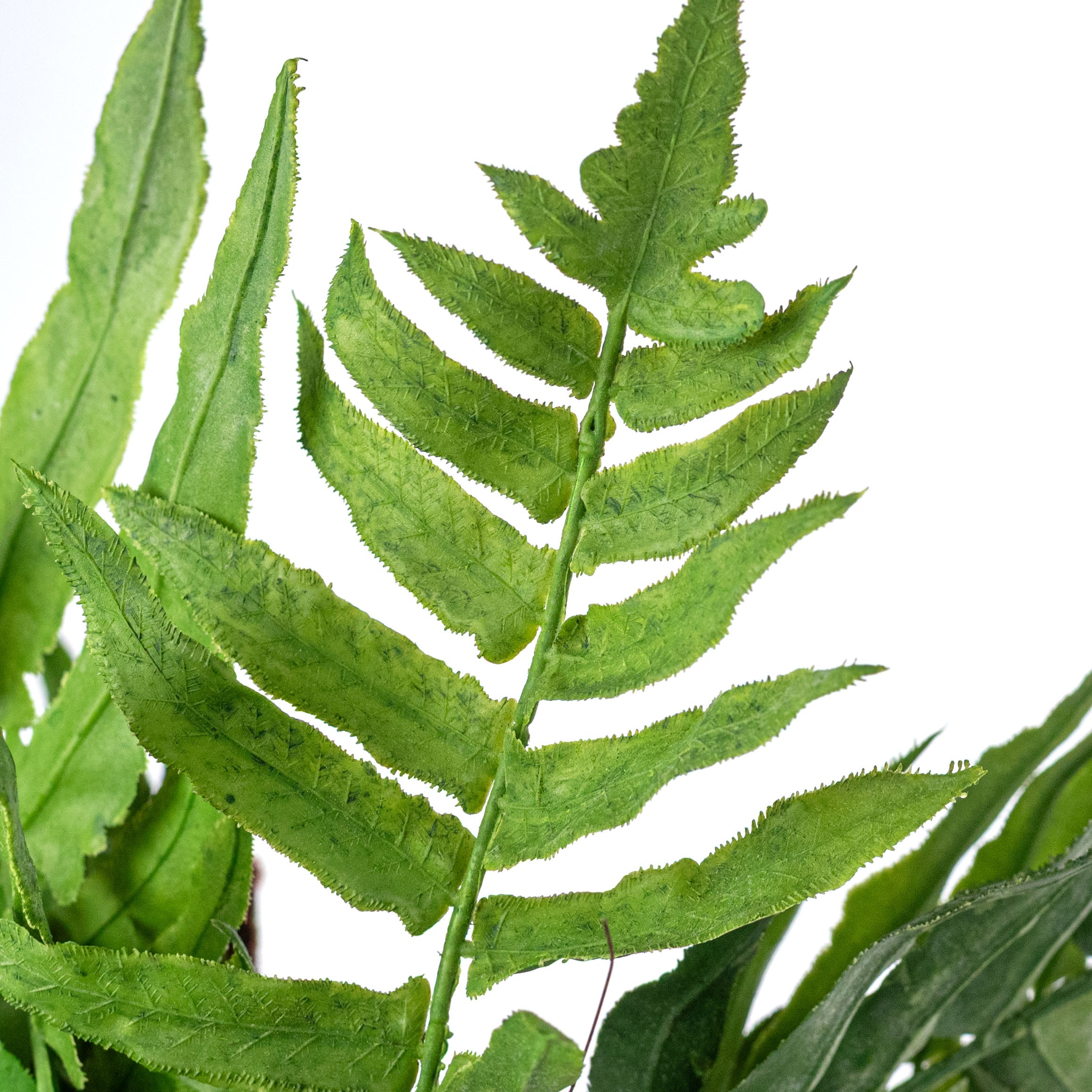 20" Plastic Fern & Frond Bush: Spring Green Lifestyle Photo