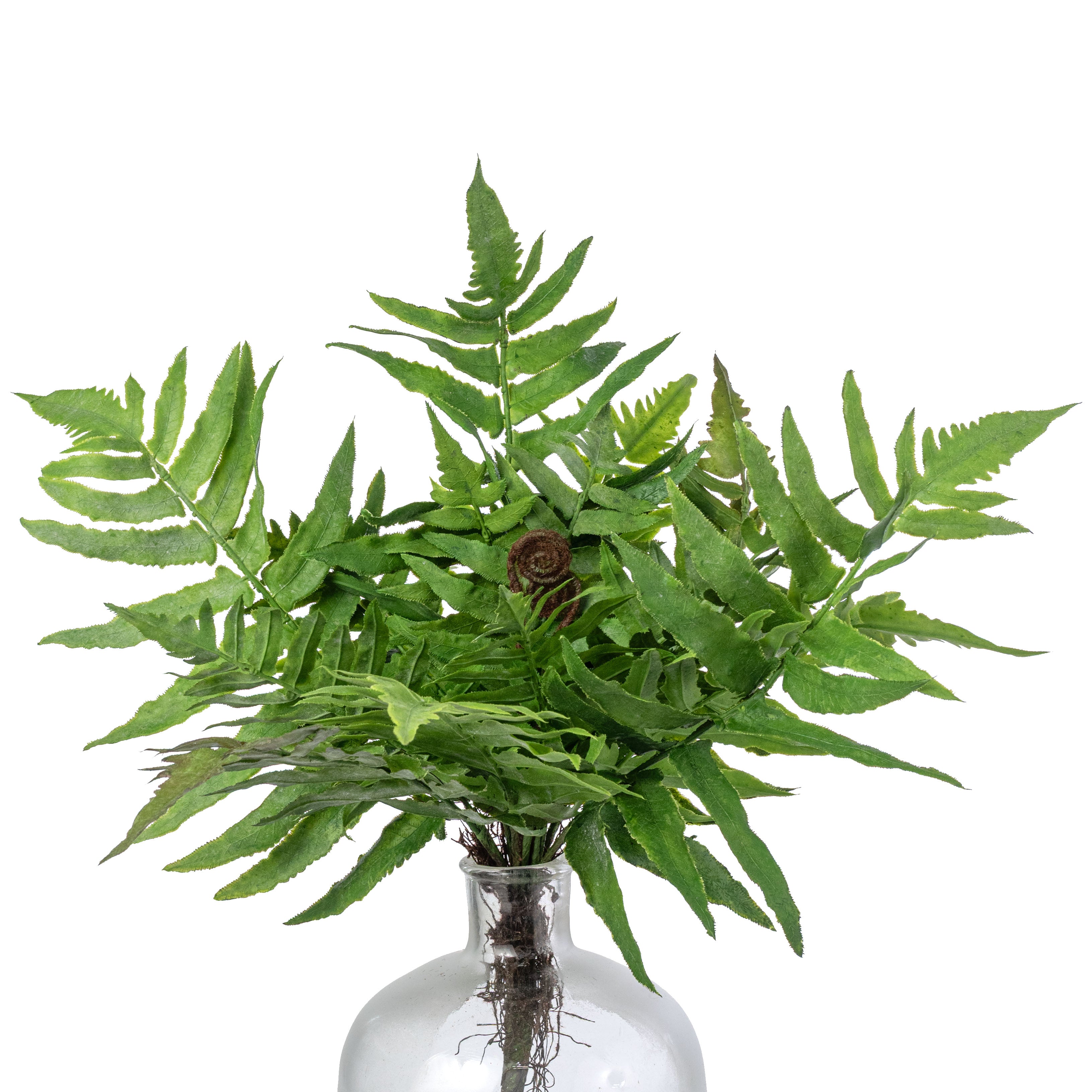 20" Plastic Fern & Frond Bush: Spring Green Item Number: 274558