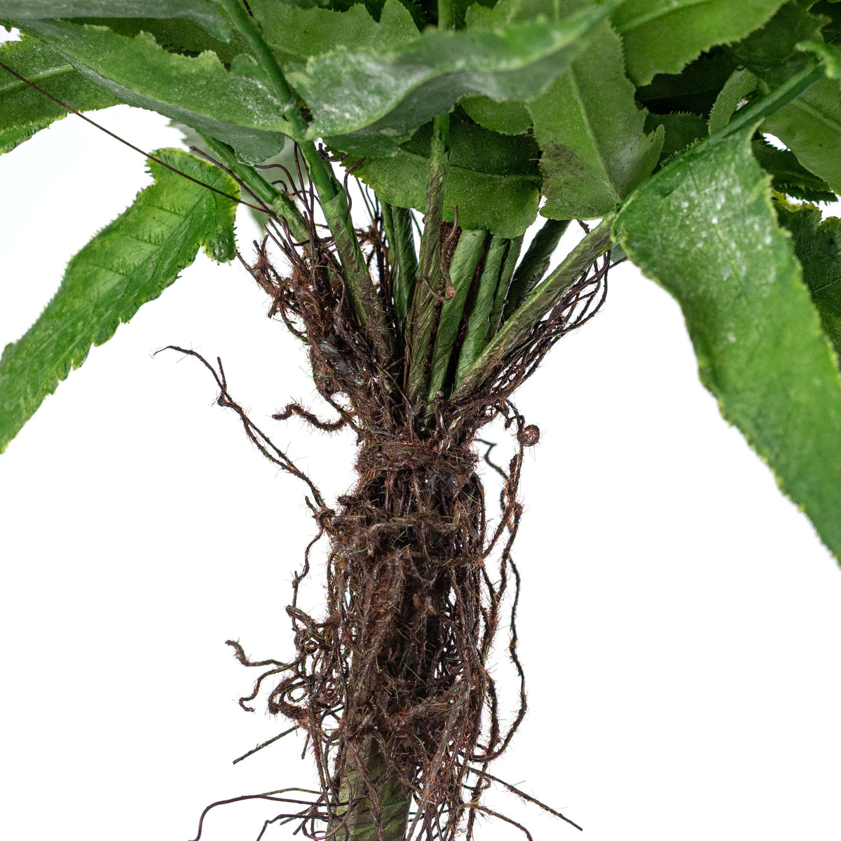 20" Plastic Fern & Frond Bush: Spring Green detail photo 4