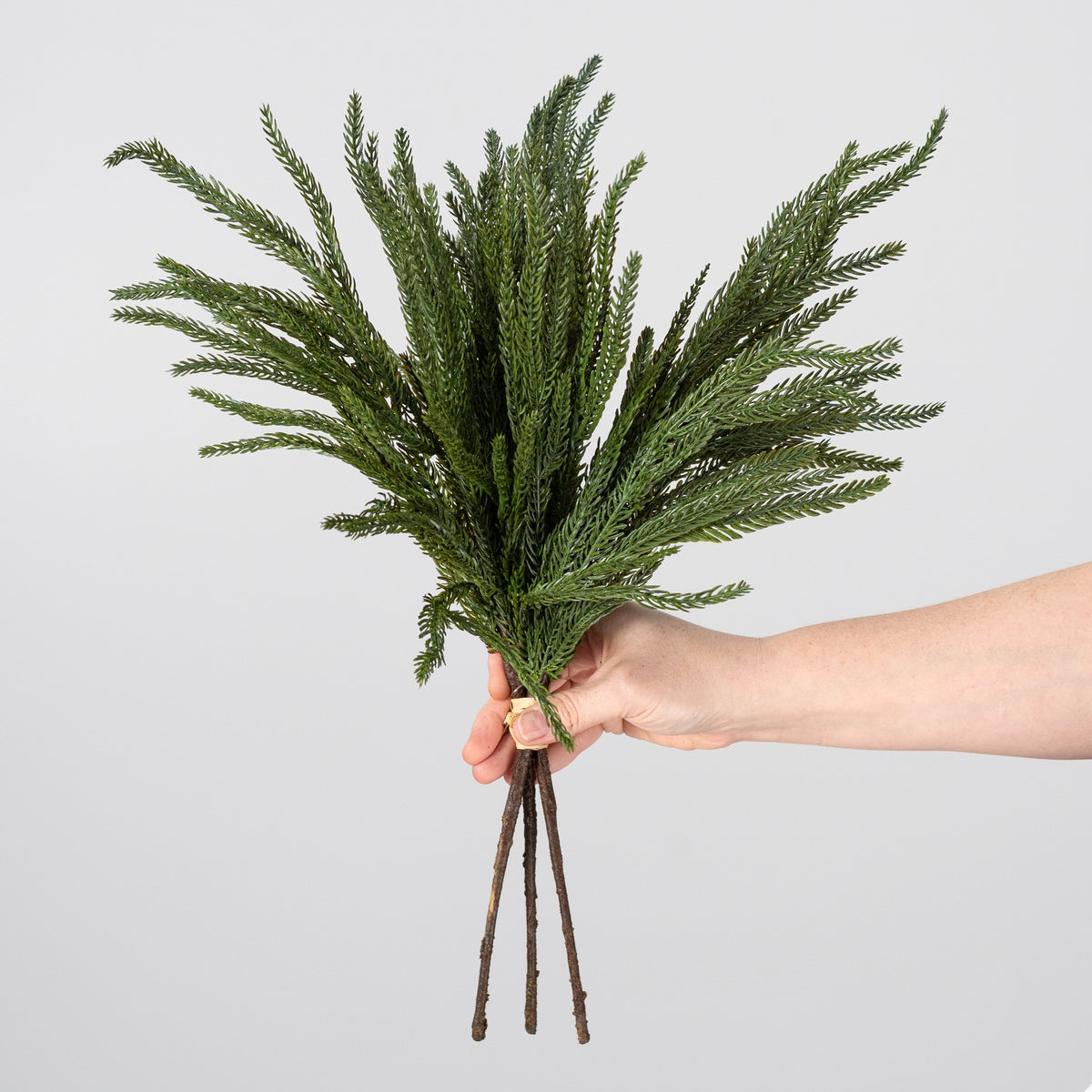 20" Soft Touch Norfolk Pine Spray Bundle: Dark Green (3) detail photo 3