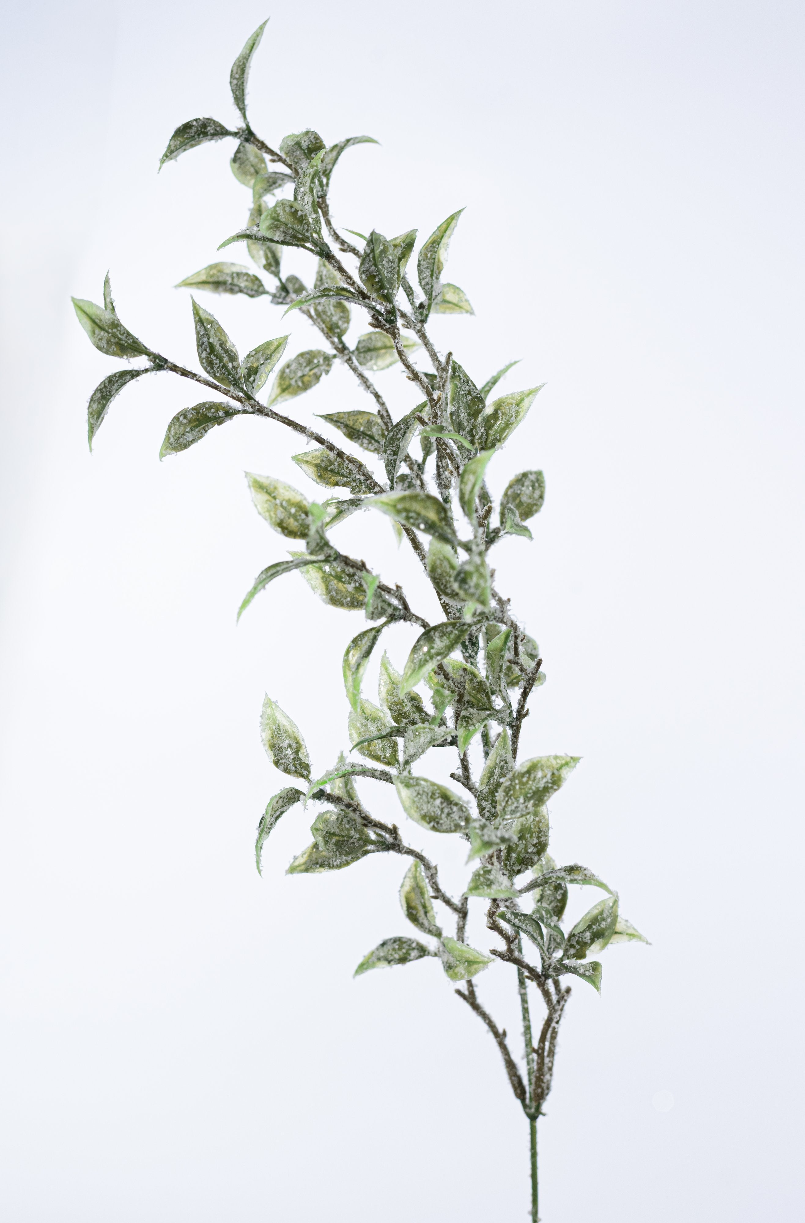 21" Iced Tea Leaf Bush (9 Stem) detail photo 5