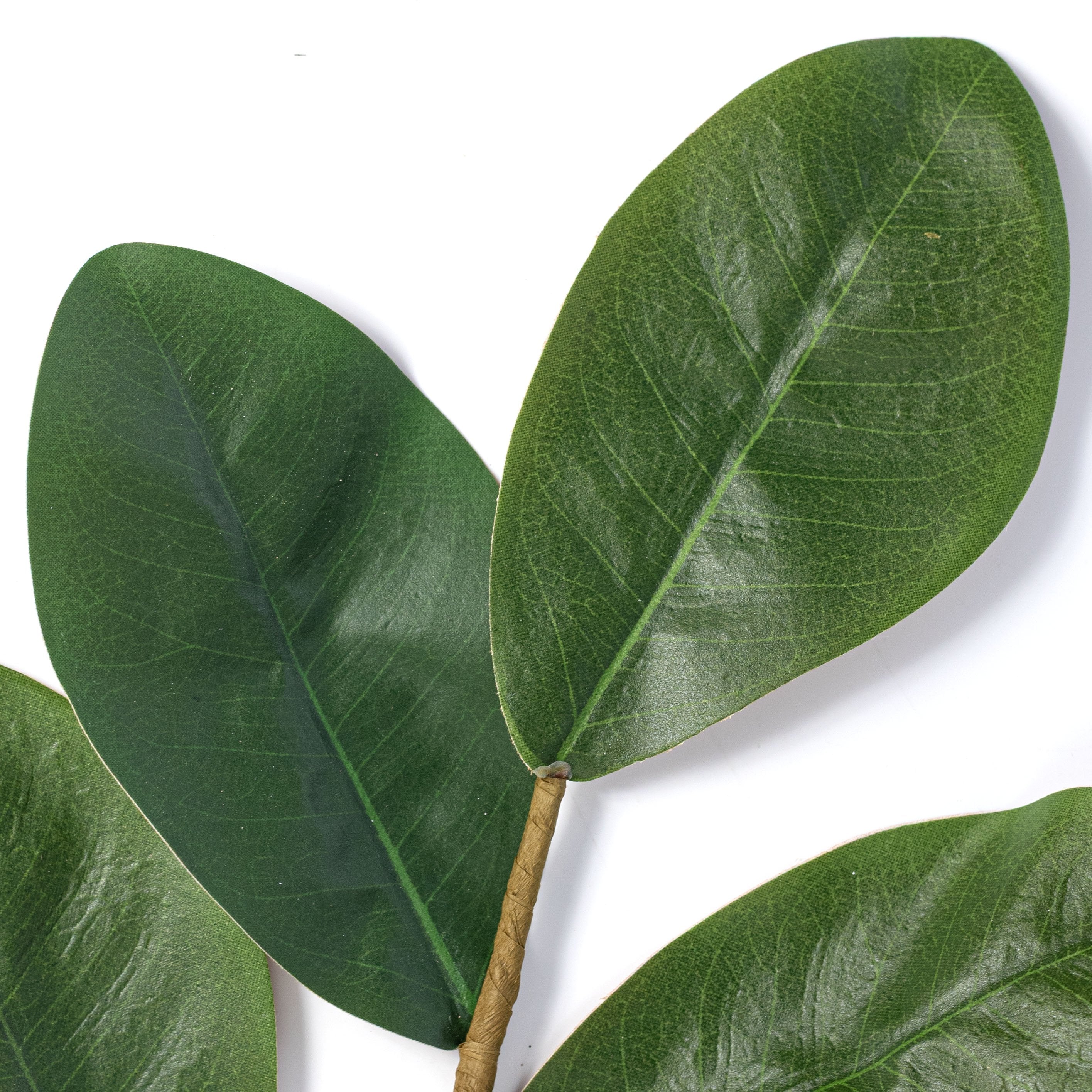 21" Sweetbay Magnolia Leaves Pick Lifestyle Photo