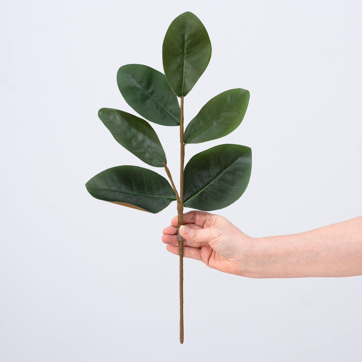 21" Sweetbay Magnolia Leaves Pick detail photo 3