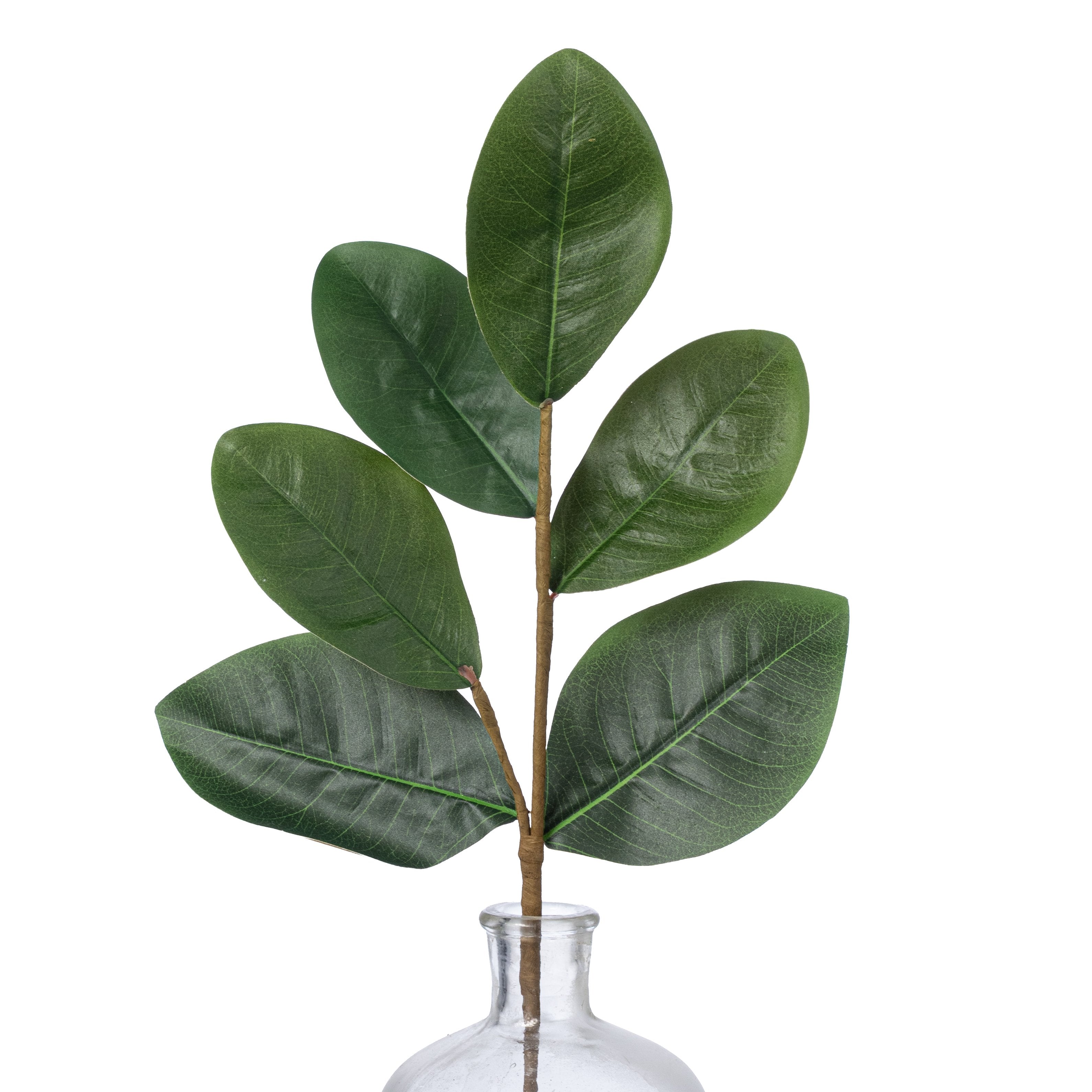 21" Sweetbay Magnolia Leaves Pick Item Number: 30355