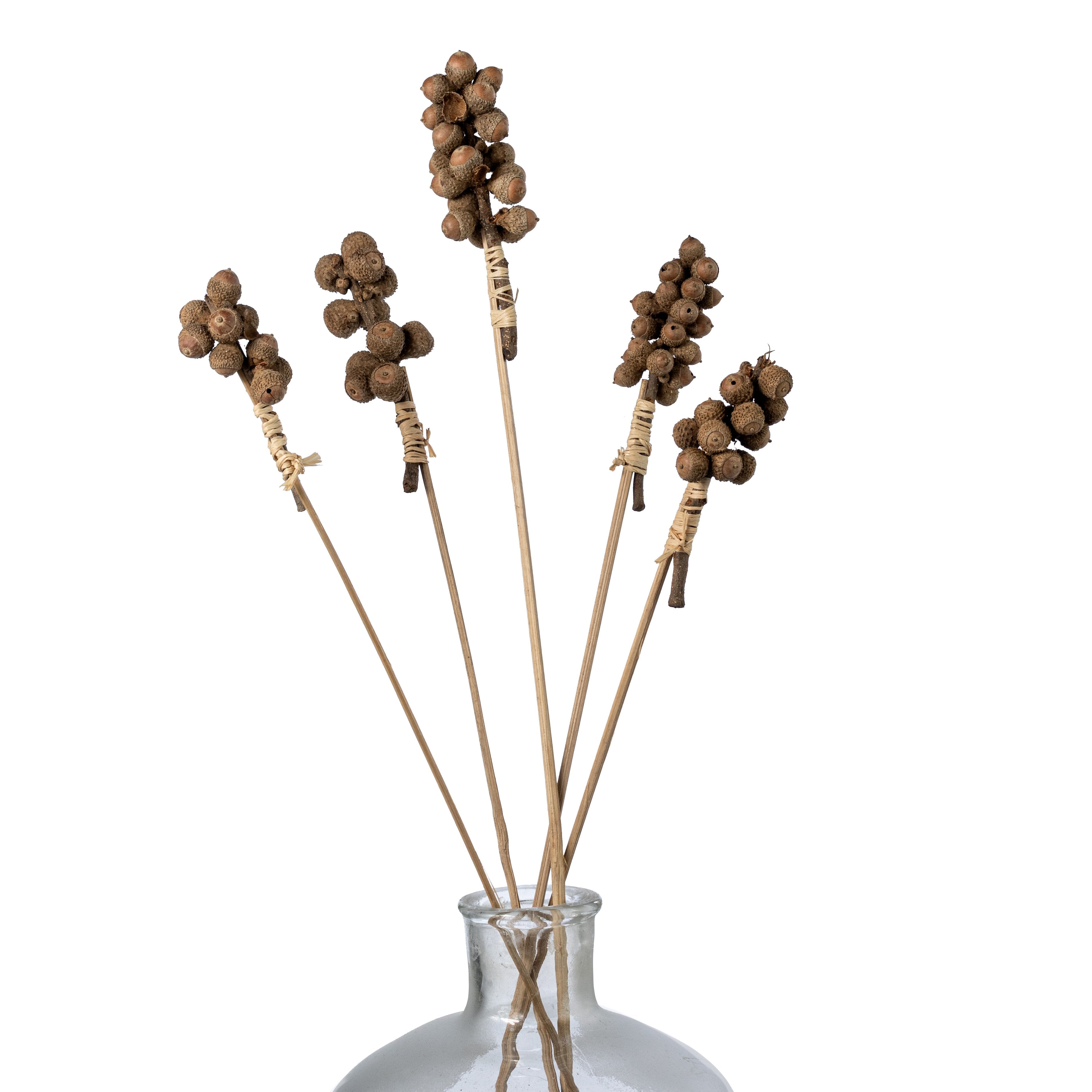 22" Acorns on Bamboo Picks: Natural (Pack of 5) Item Number: TT3120
