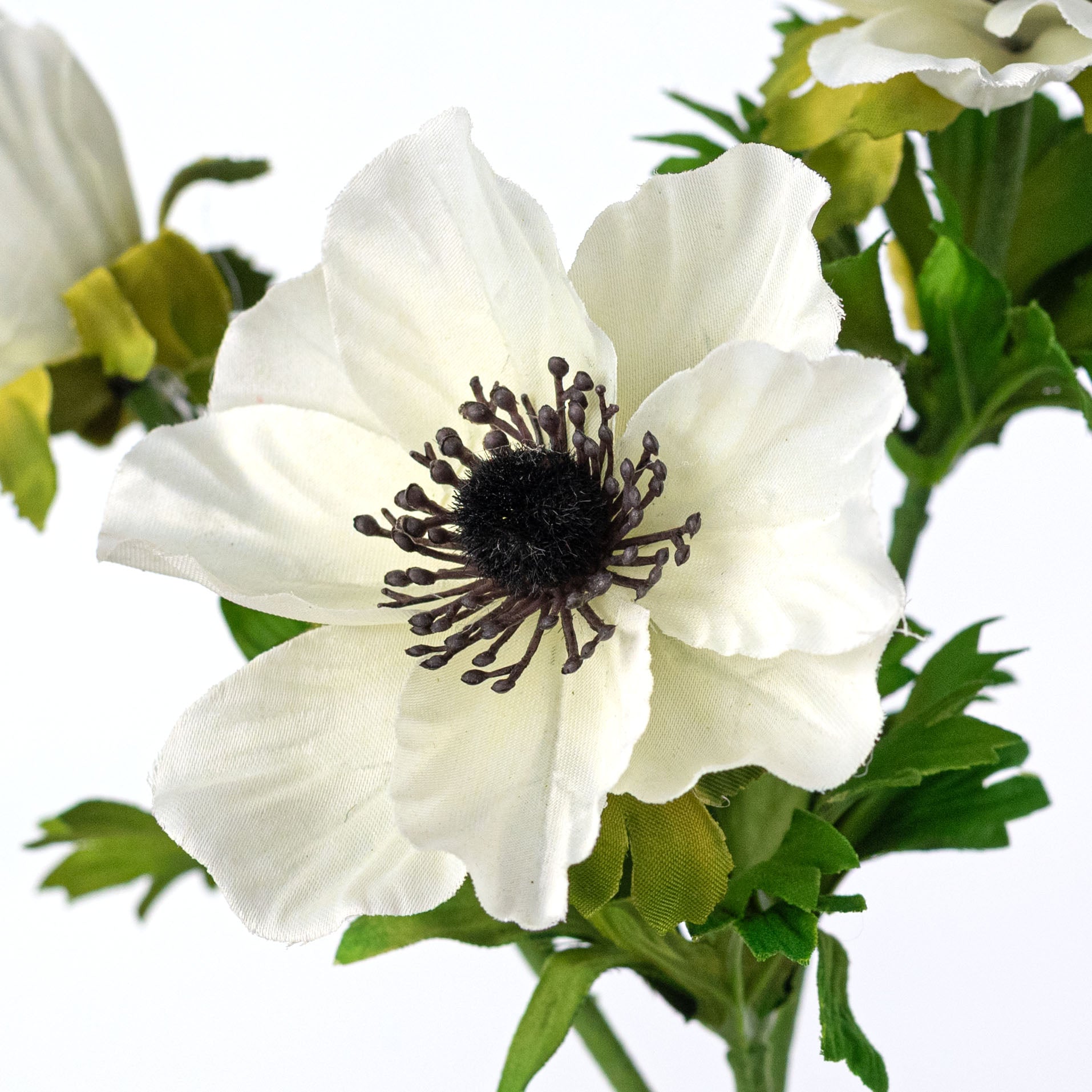 22" Anemone Flower Spray: Cream Lifestyle Photo