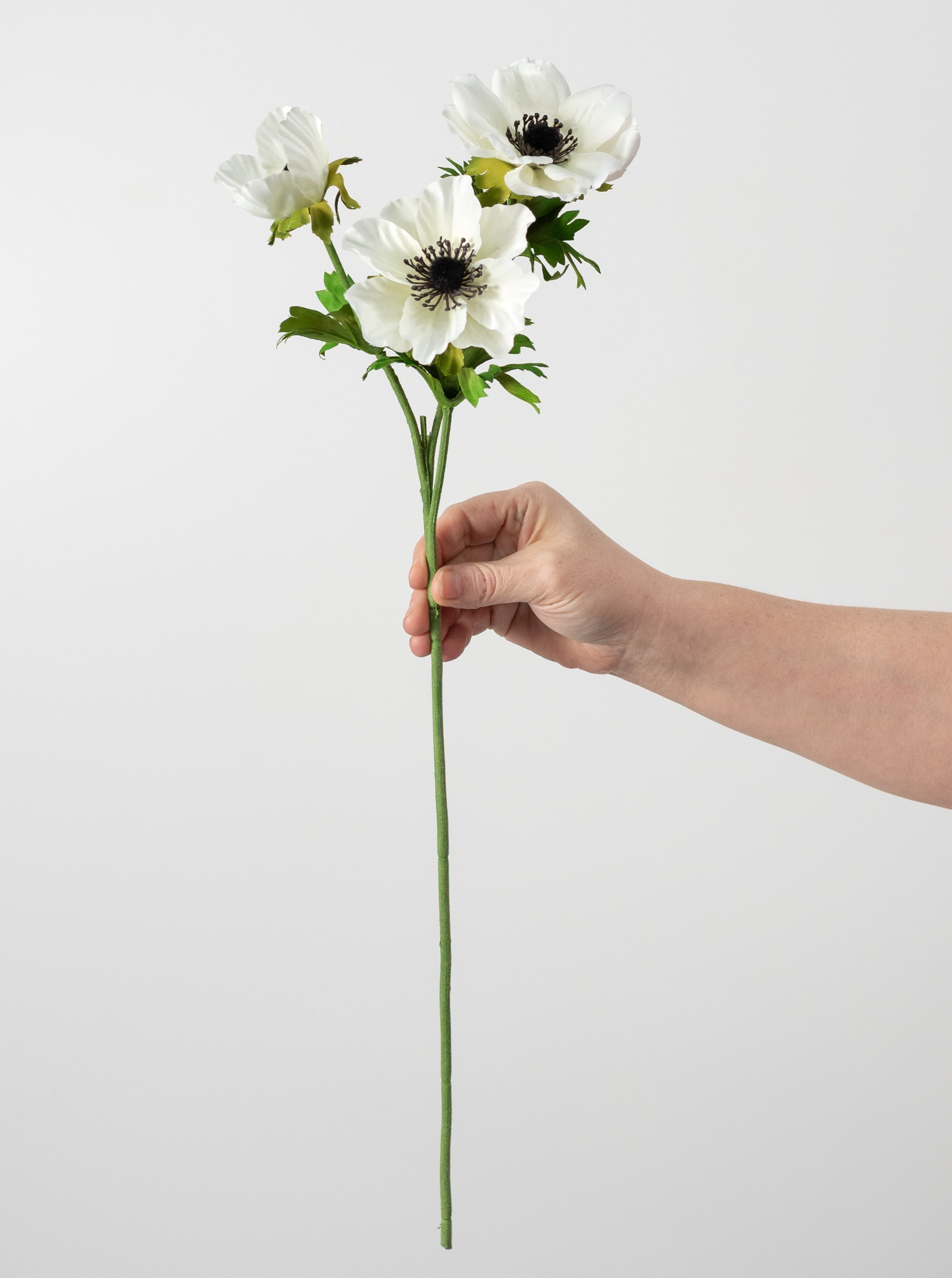 22" Anemone Flower Spray: Cream detail photo 3