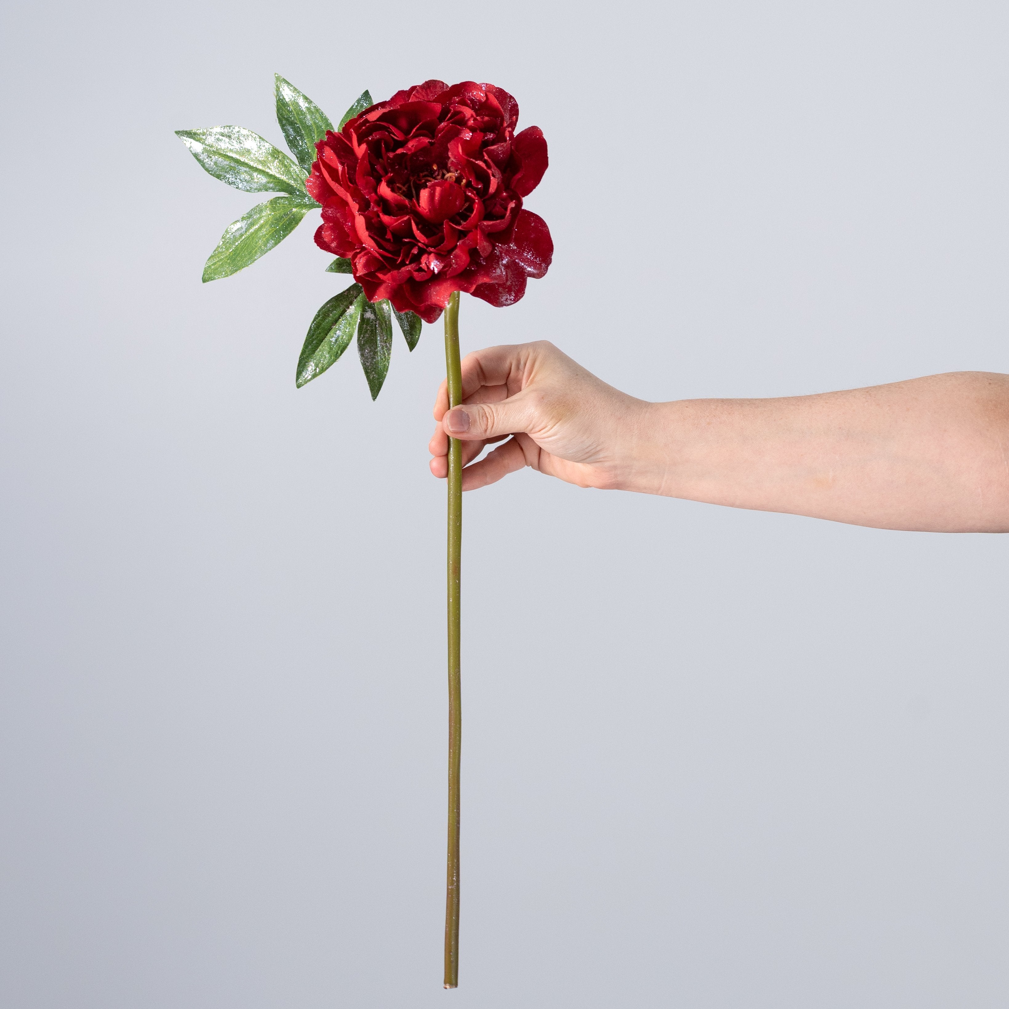 22" Glittered Peony Spray: Red detail photo 3