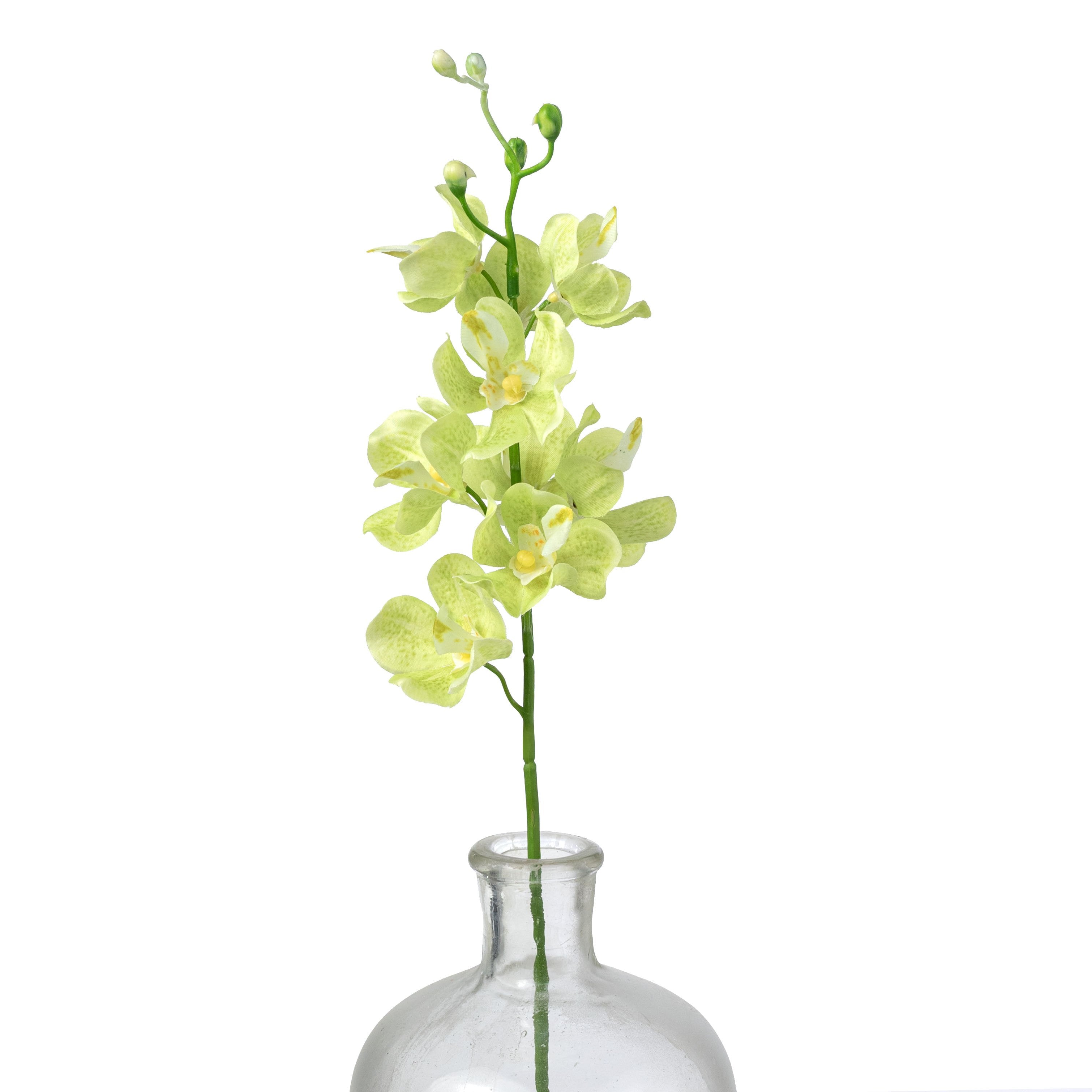 22" Mokara Orchid Stem: Light Green Item Number: 64051GN