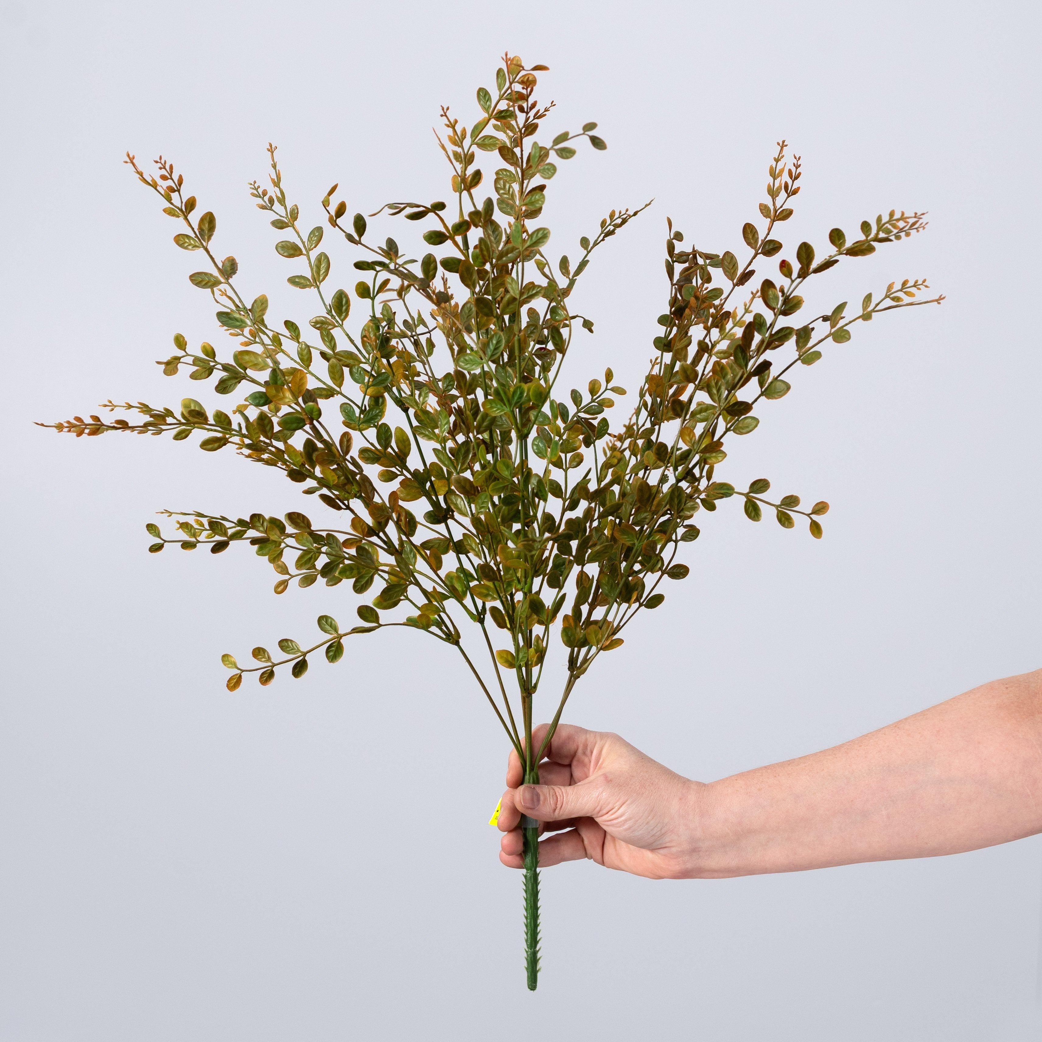 22" Plastic Boxwood Bush: Fall Mix detail photo 3