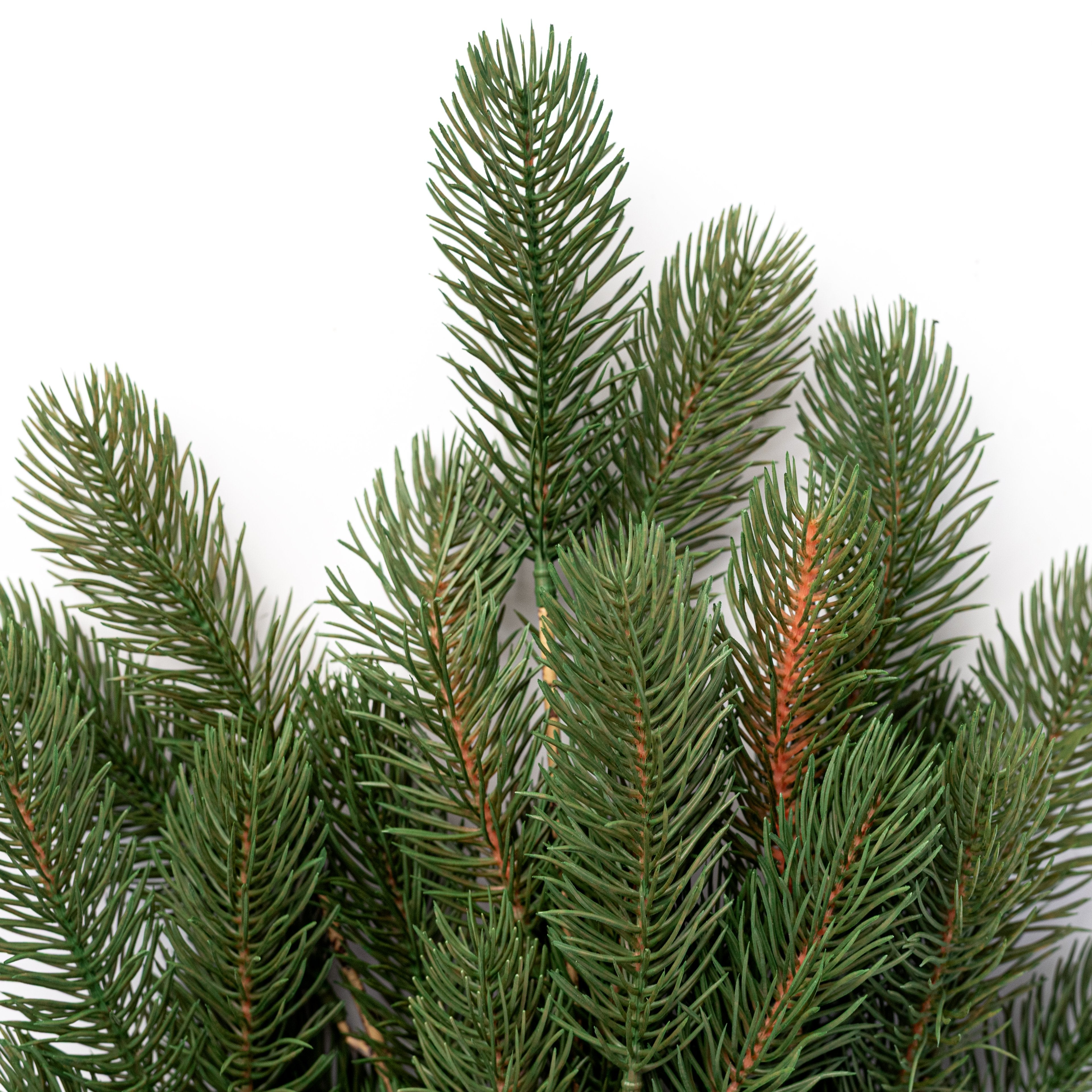 22" Soft Touch Noble Pine Bush: Evergreen Lifestyle Photo