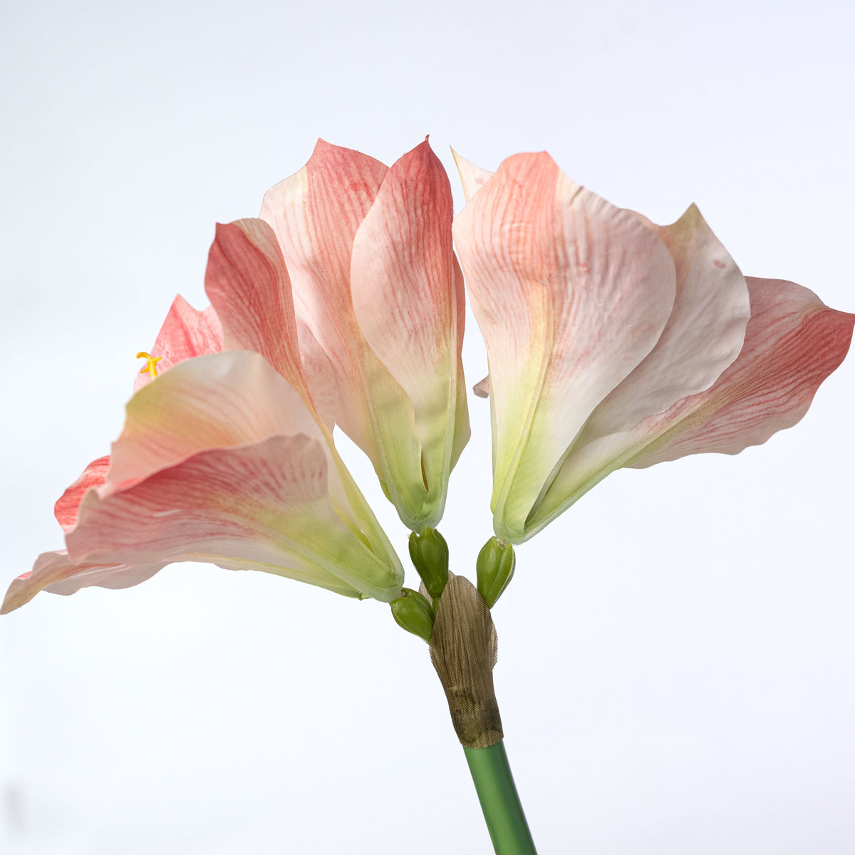 23" Artificial Amaryllis Stem: Pink & Cream detail photo 4