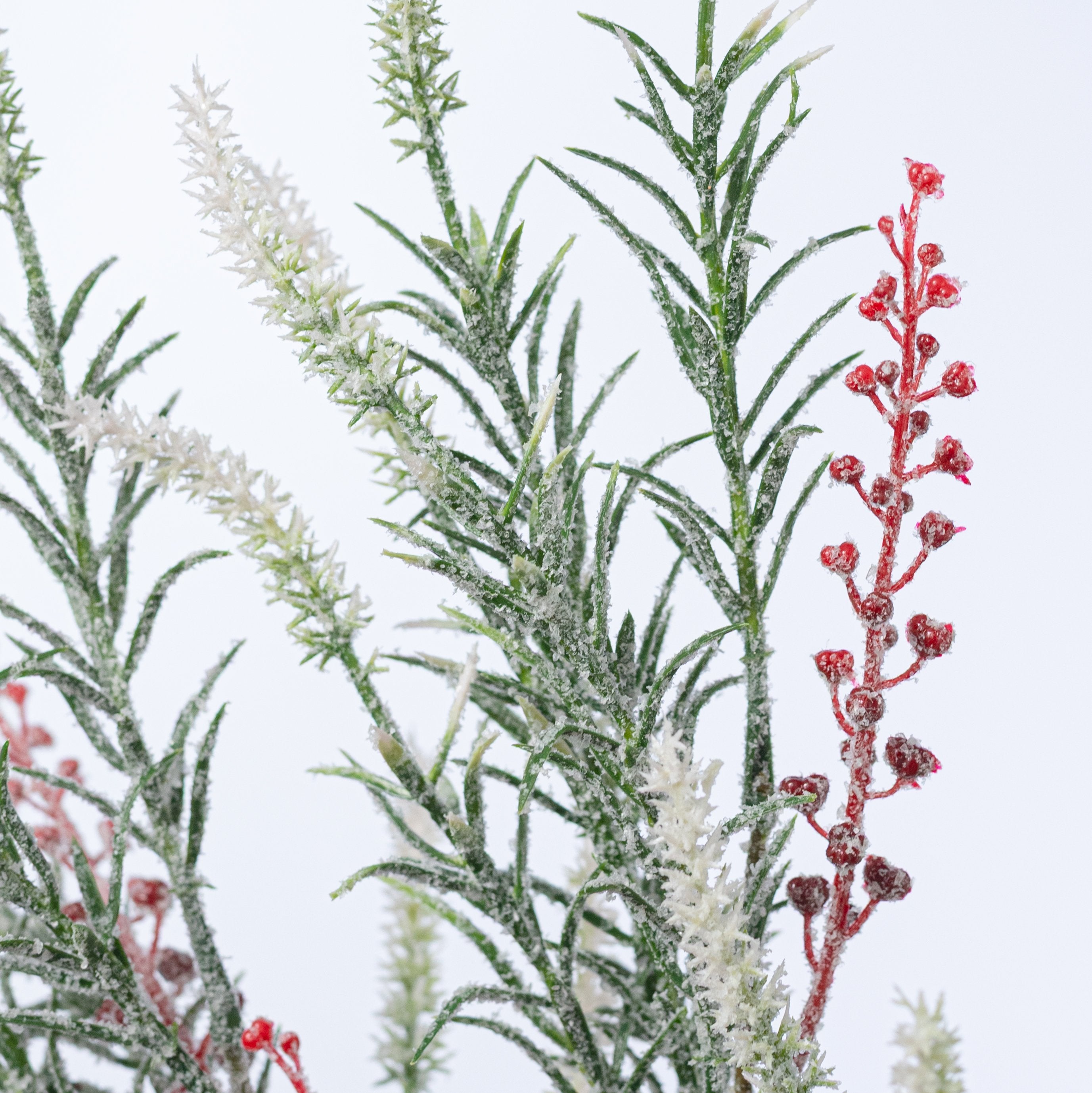 23" Frosted Lavender Berry Bush Lifestyle Photo