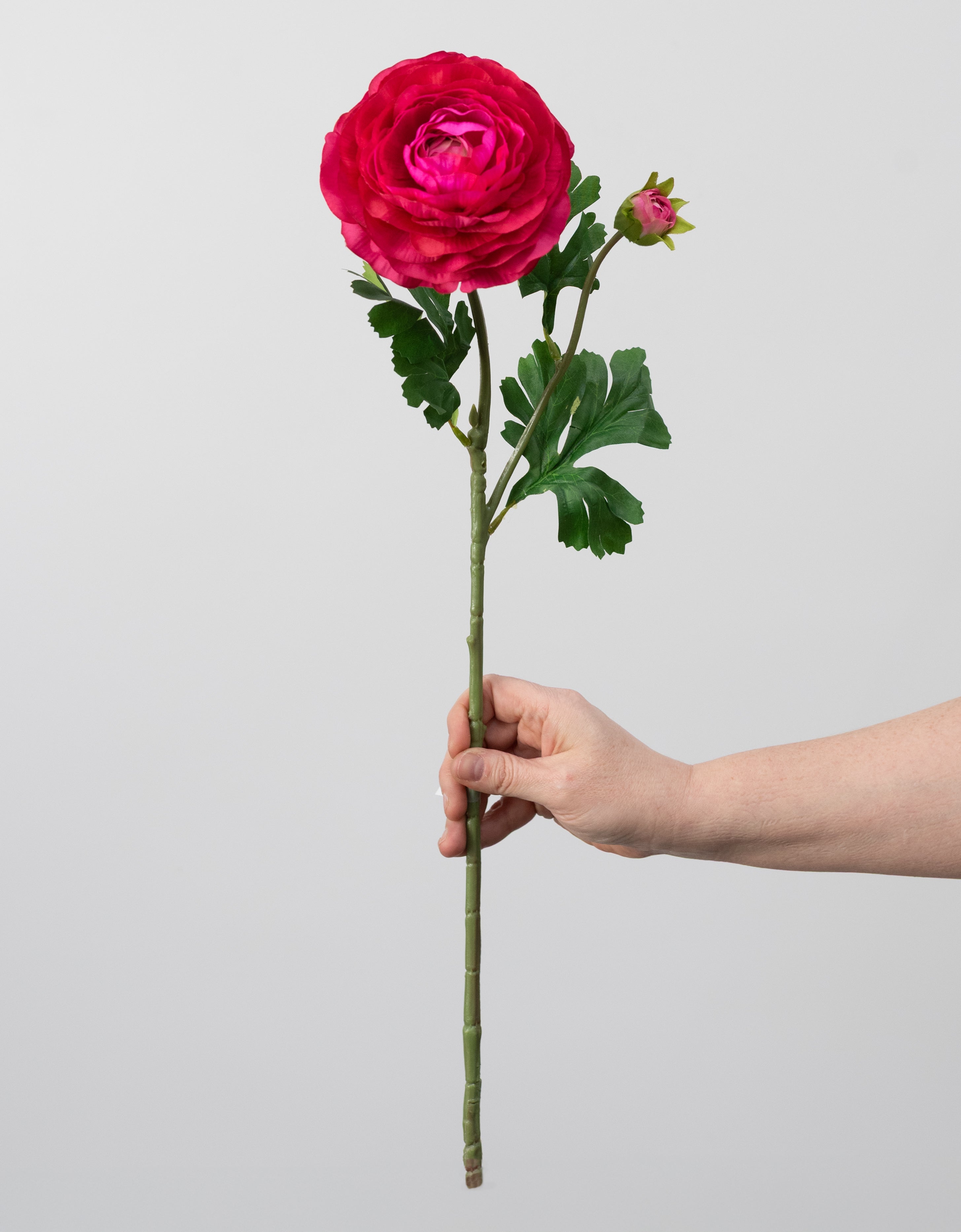 23" Ranunculus & Bud Spray: Fuchsia Pink detail photo 3