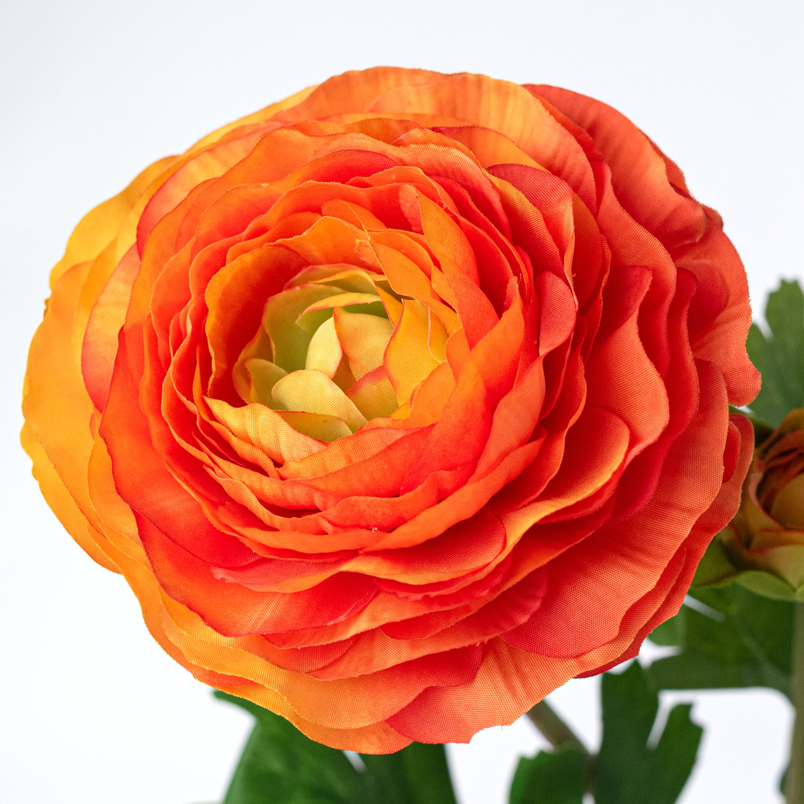 23" Ranunculus & Bud Spray: Orange Lifestyle Photo
