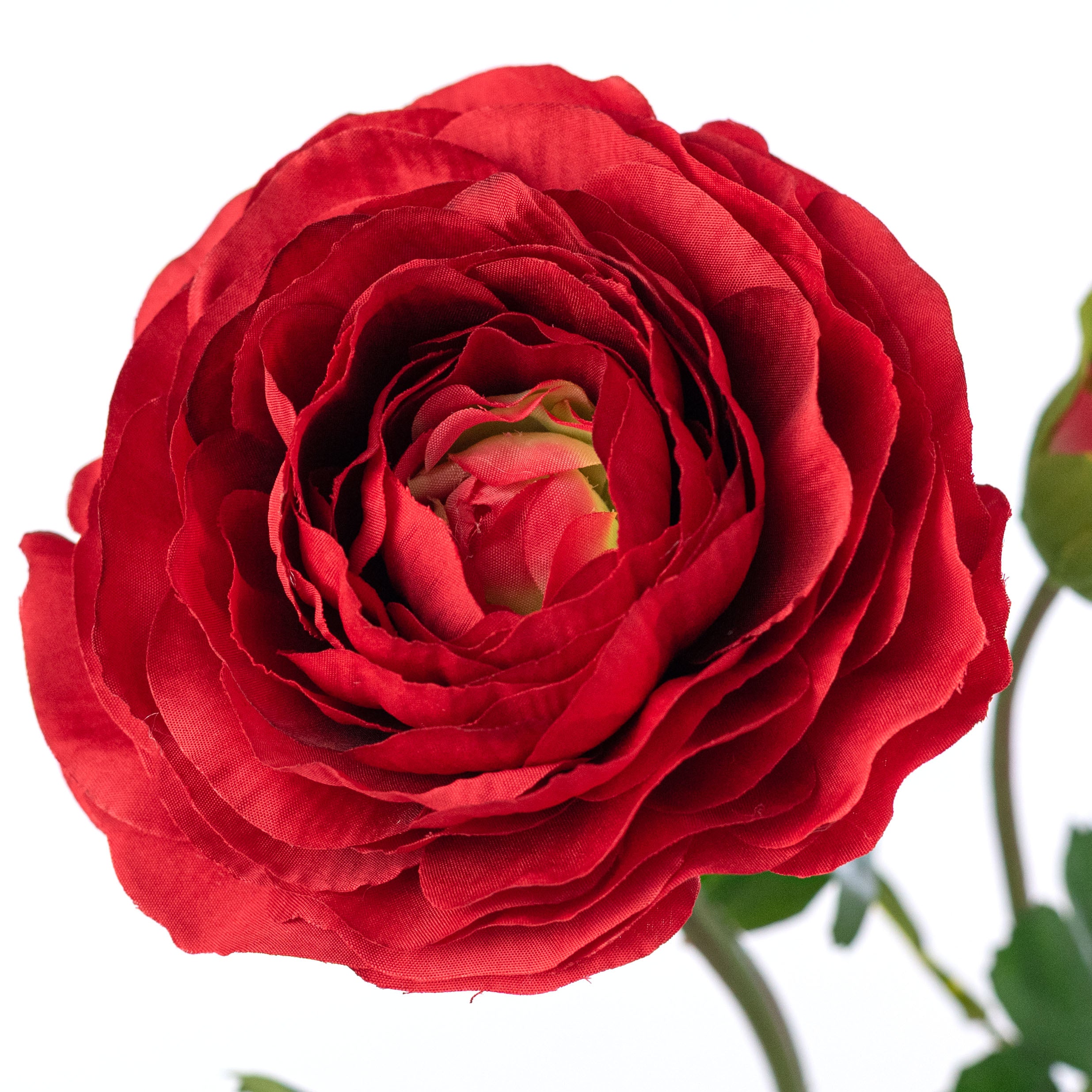23" Ranunculus & Bud Spray: Red Lifestyle Photo