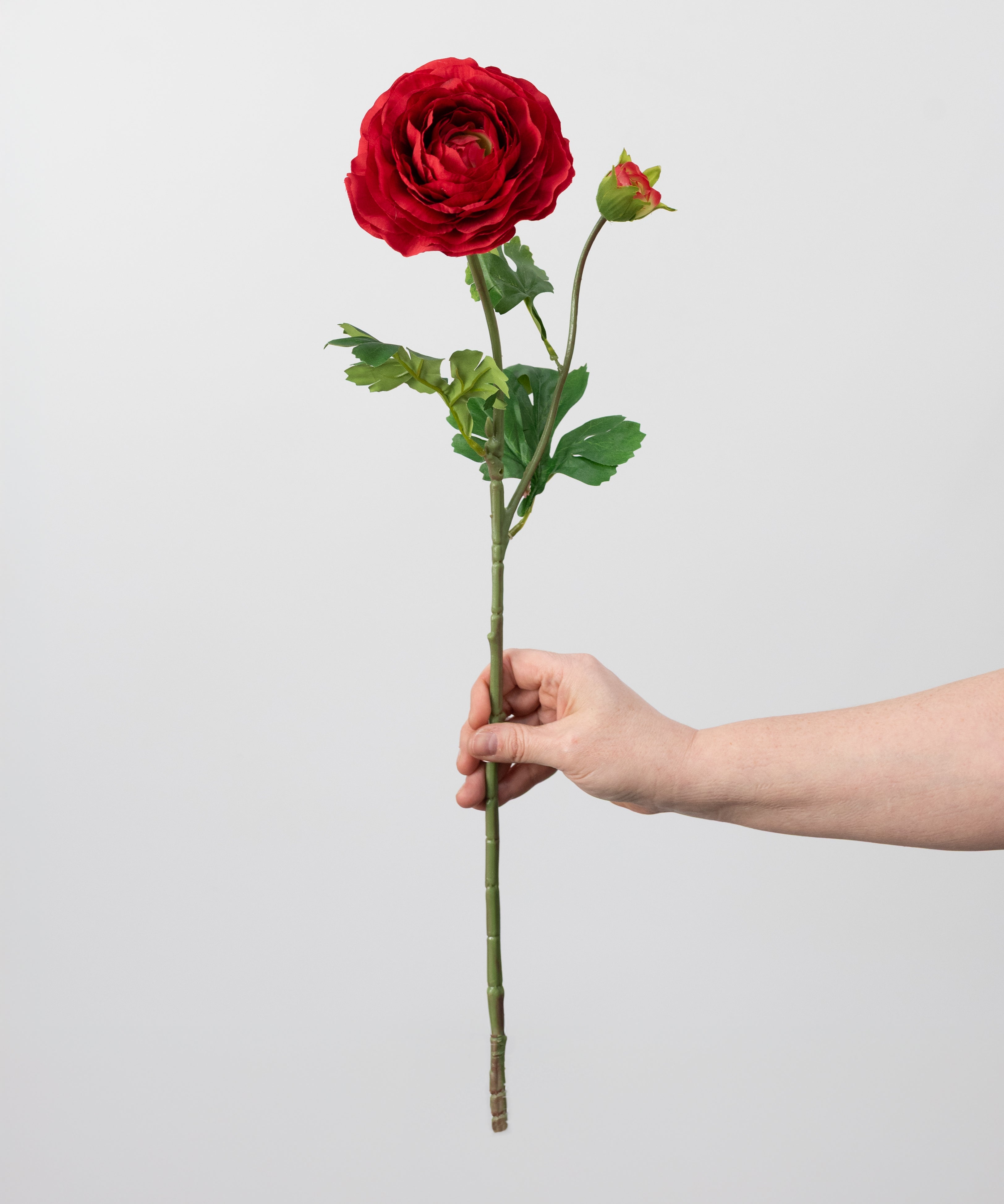 23" Ranunculus & Bud Spray: Red detail photo 3