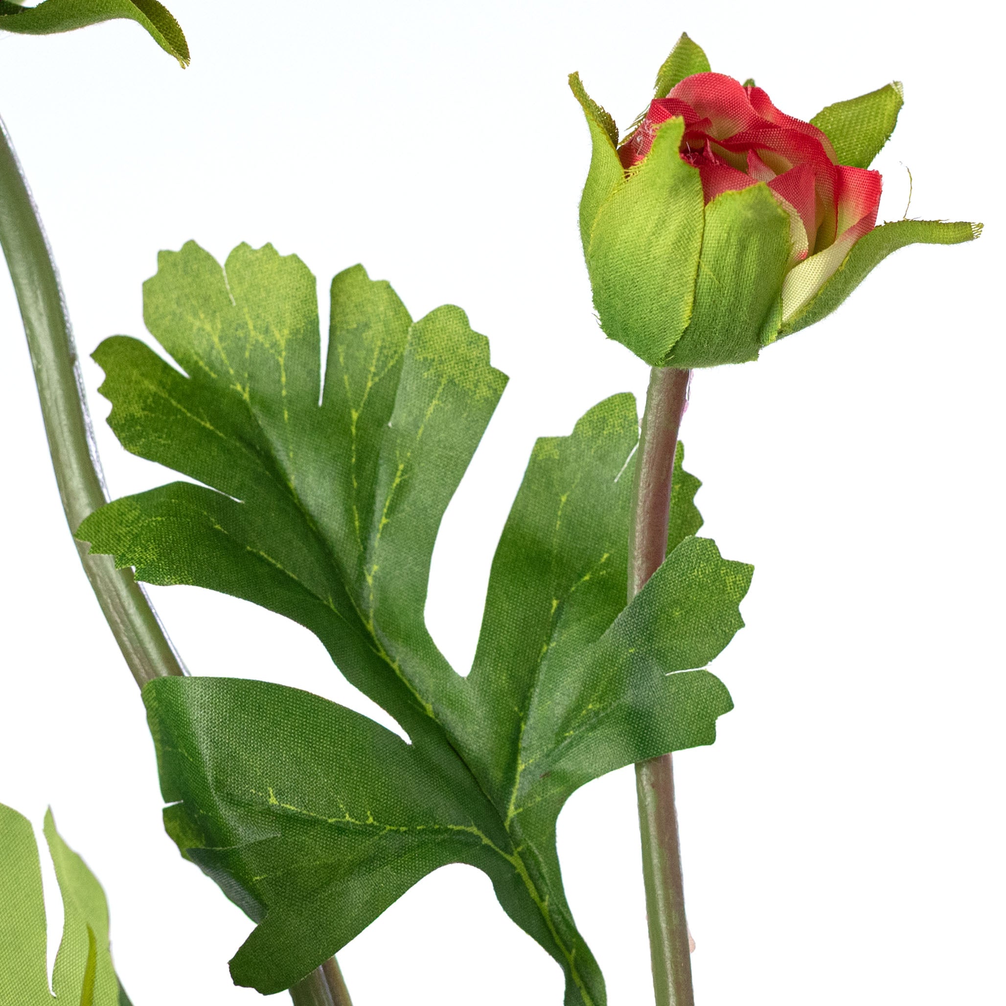 23" Ranunculus & Bud Spray: Red detail photo 4