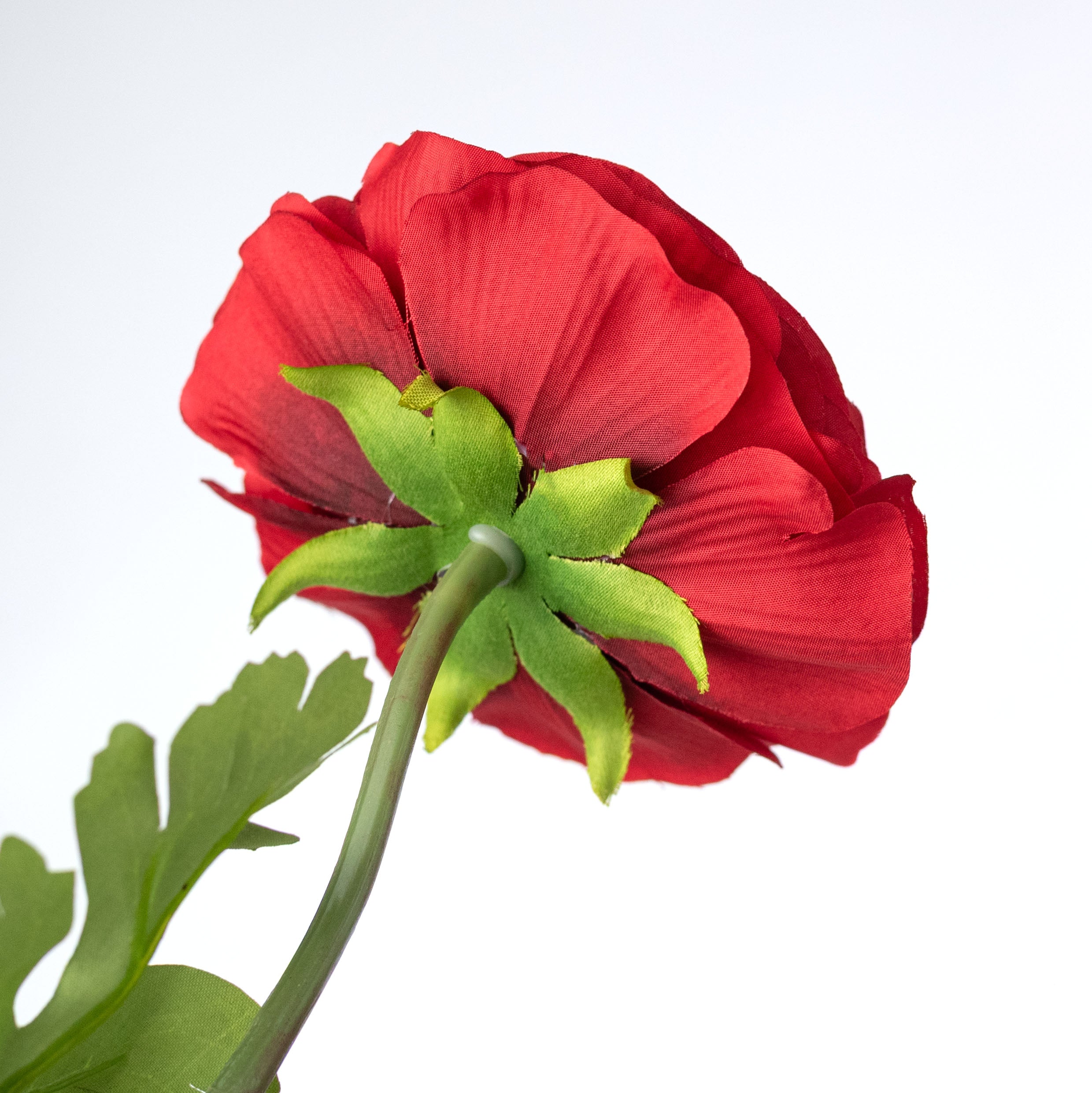 23" Ranunculus & Bud Spray: Red detail photo 5