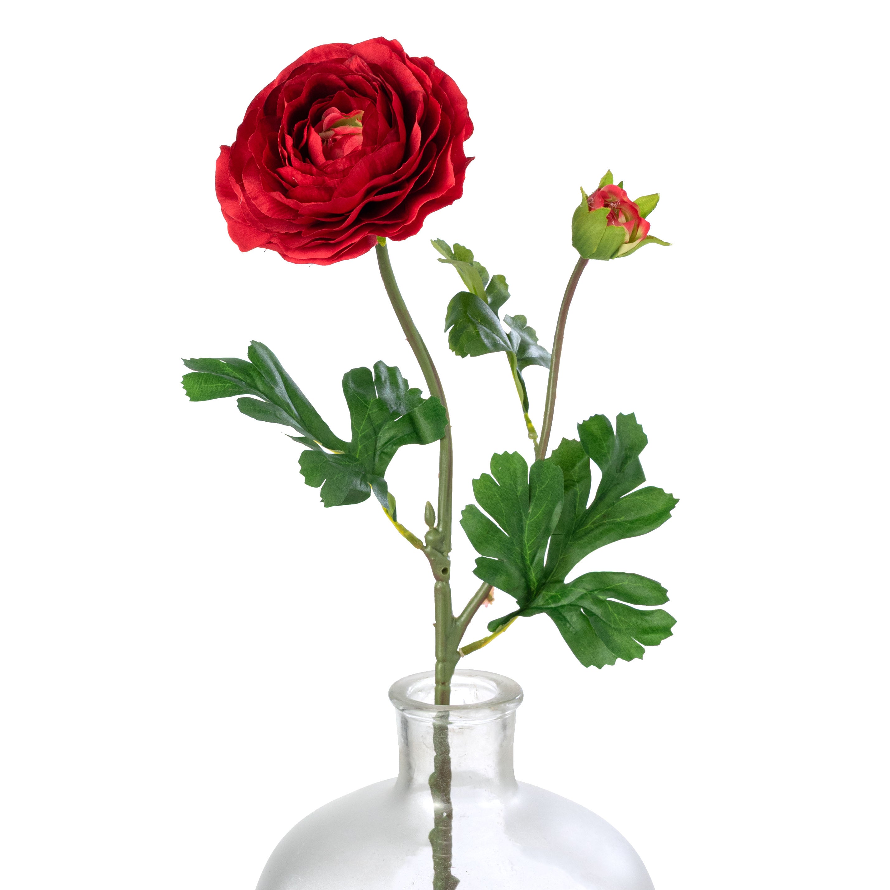 23" Ranunculus & Bud Spray: Red Item Number: 85570-RD