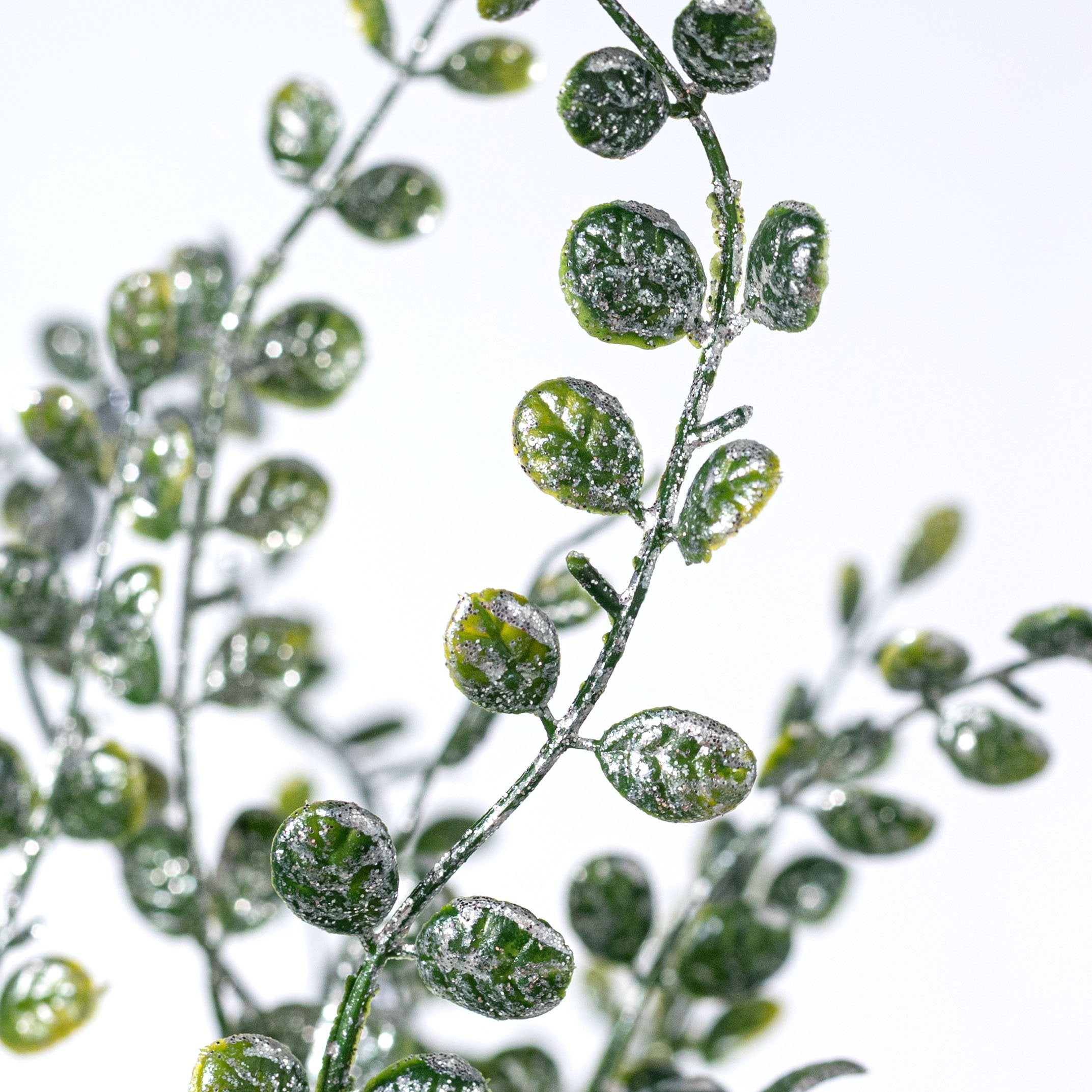 24" Flat Boxwood Box: Glitter Iced Green Lifestyle Photo