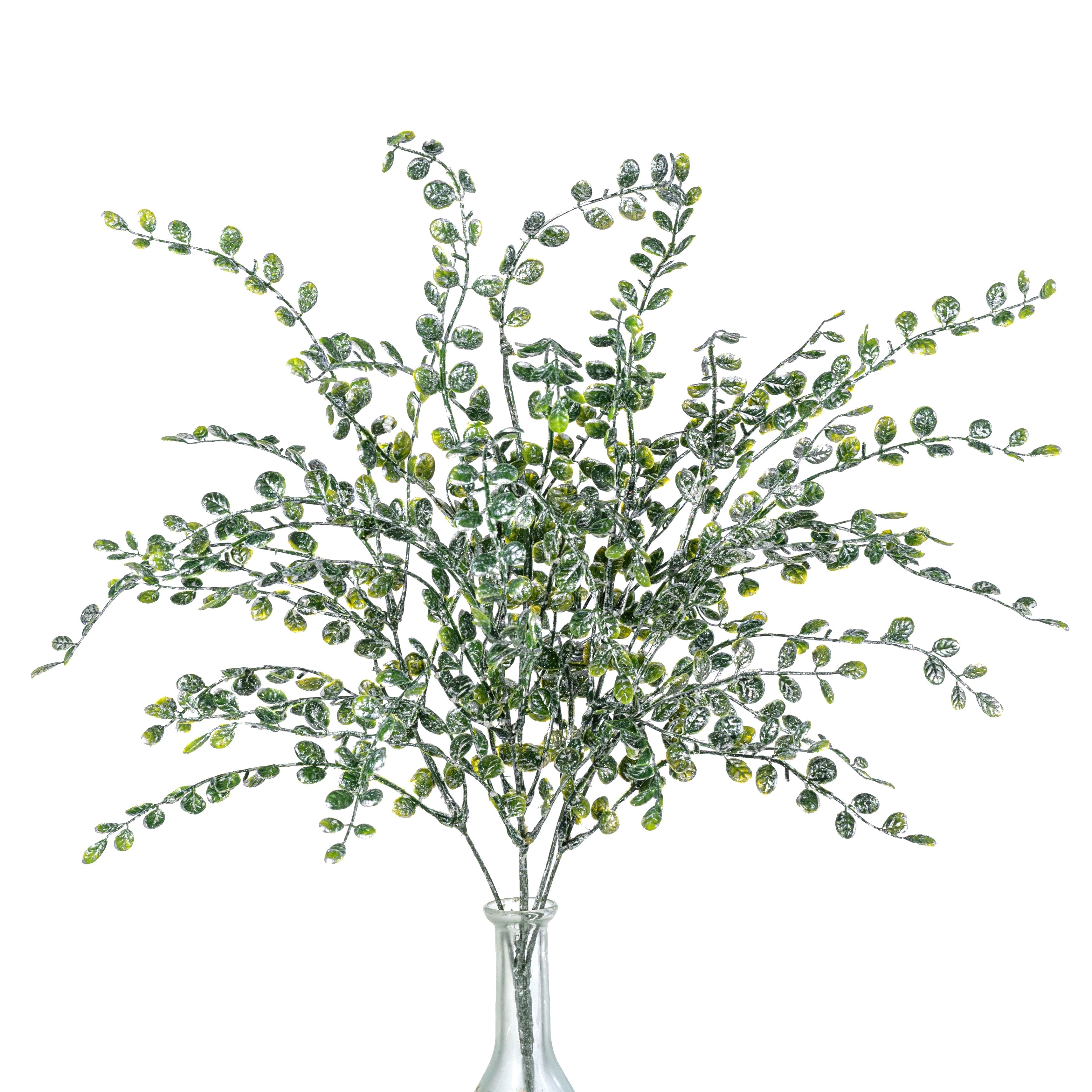 24" Flat Boxwood Box: Glitter Iced Green Item Number: 84960GNWT