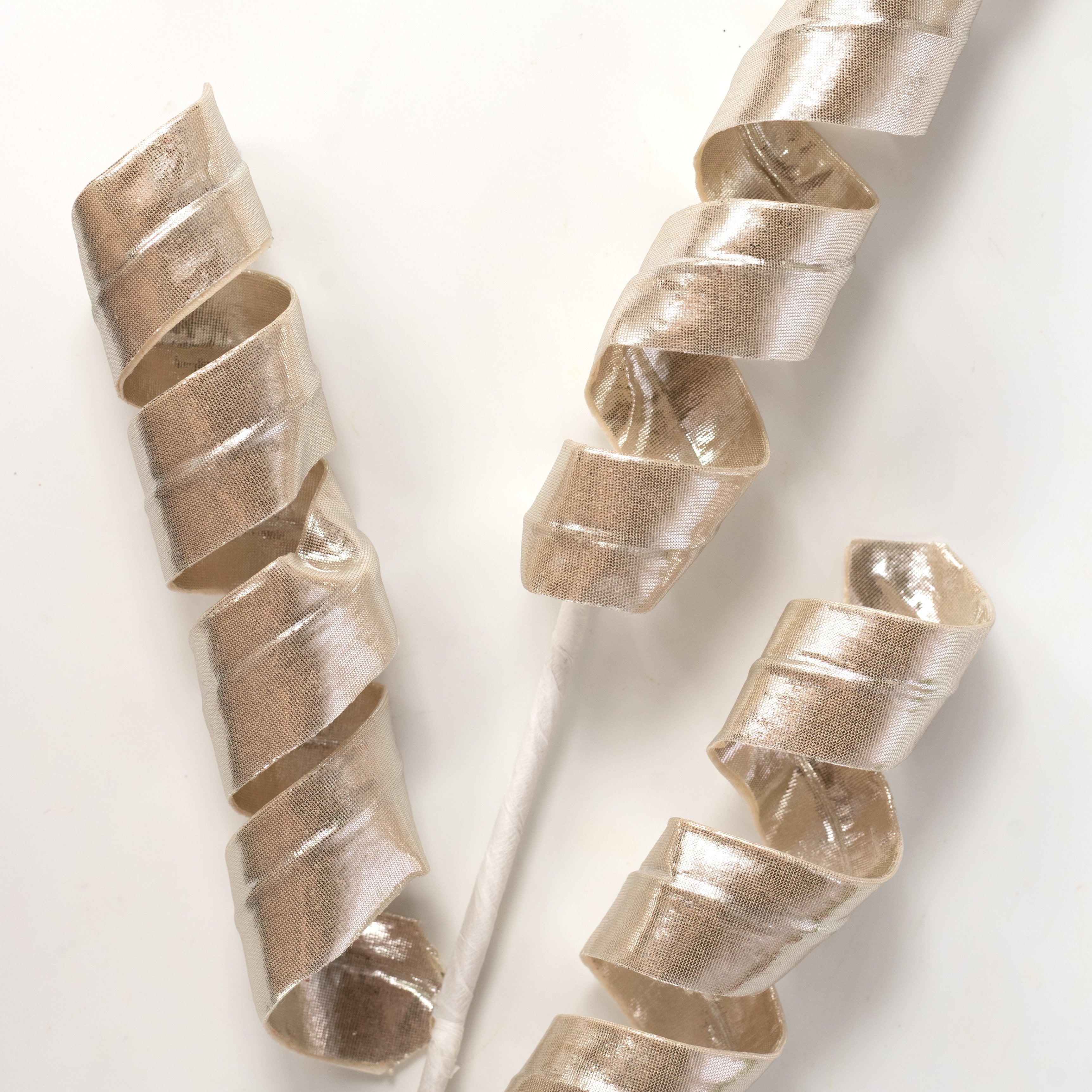 24" Glossy Metallic Curly Spray: Champagne Gold Lifestyle Photo