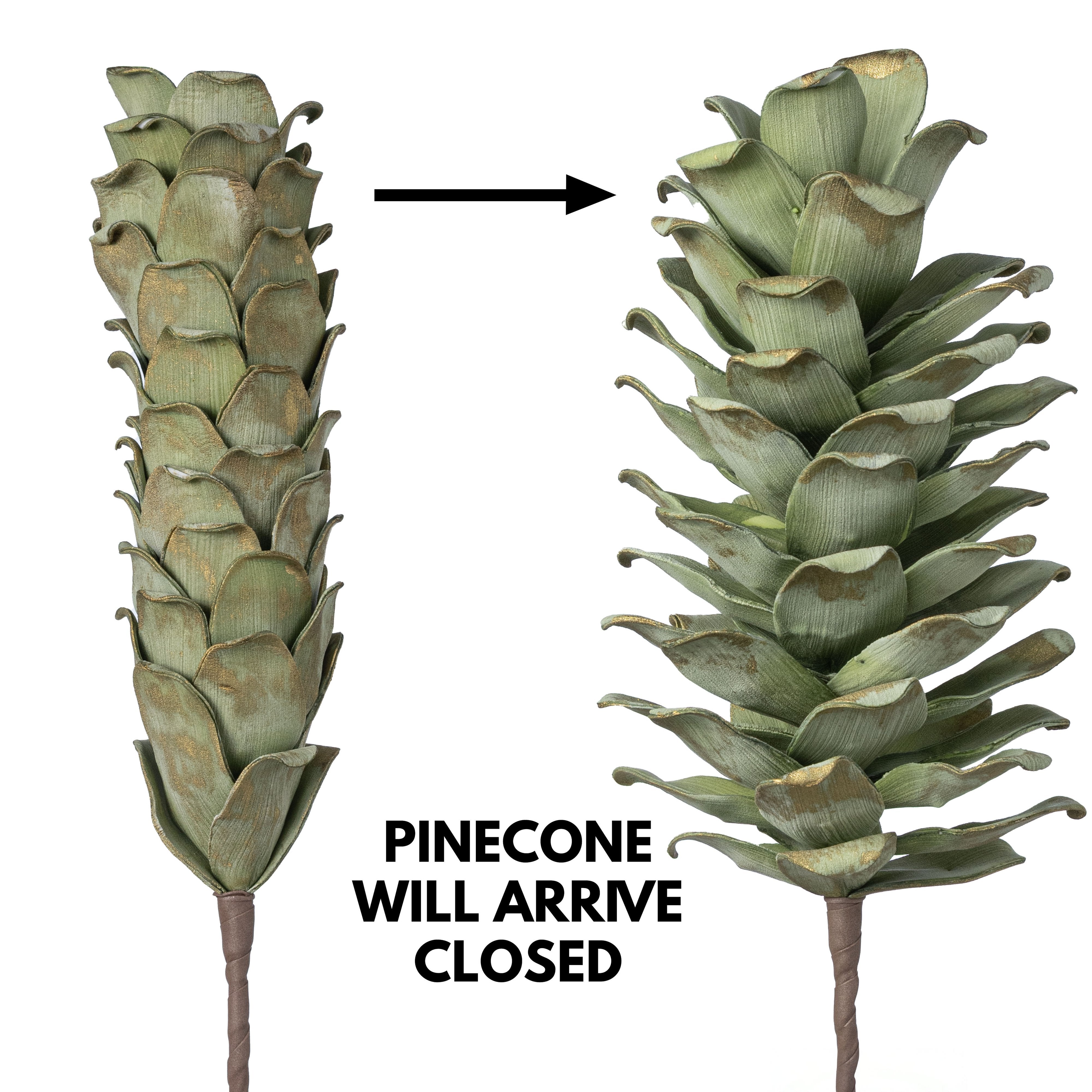 24" Jumbo Foam Pinecone Pick: Sage Green & Gold detail photo 3