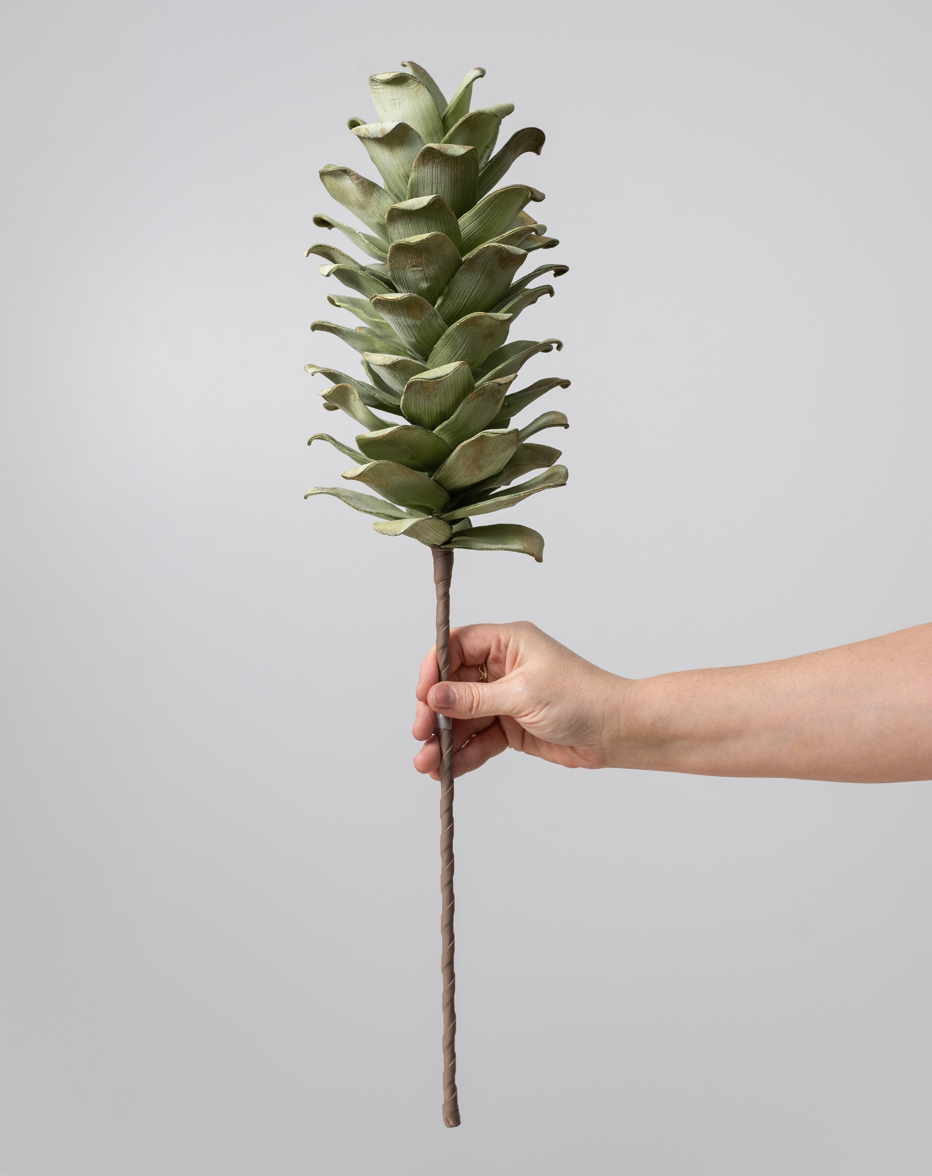 24" Jumbo Foam Pinecone Pick: Sage Green & Gold detail photo 4