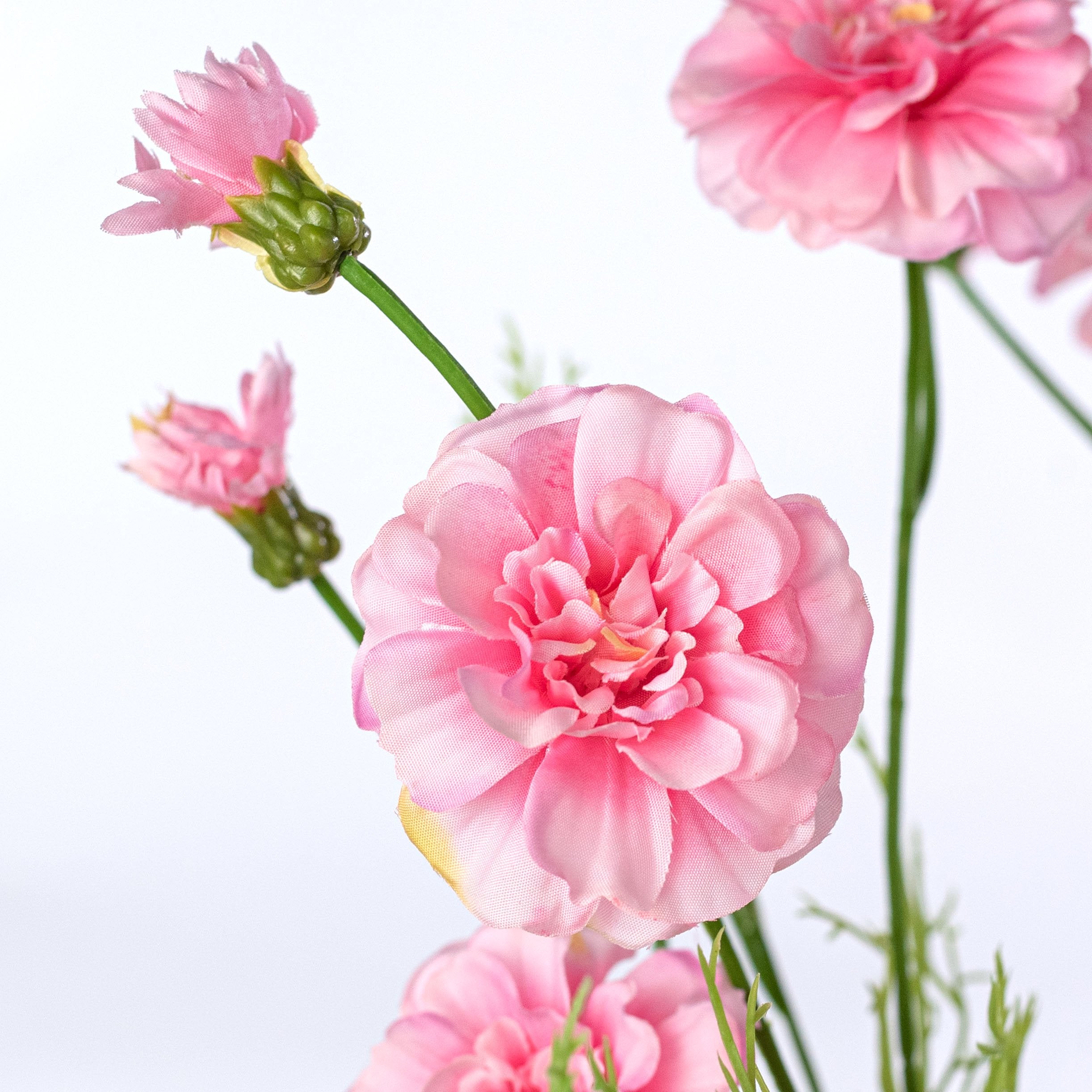 24" Mini Zinnia Bush: Pink (4 Stem) Lifestyle Photo