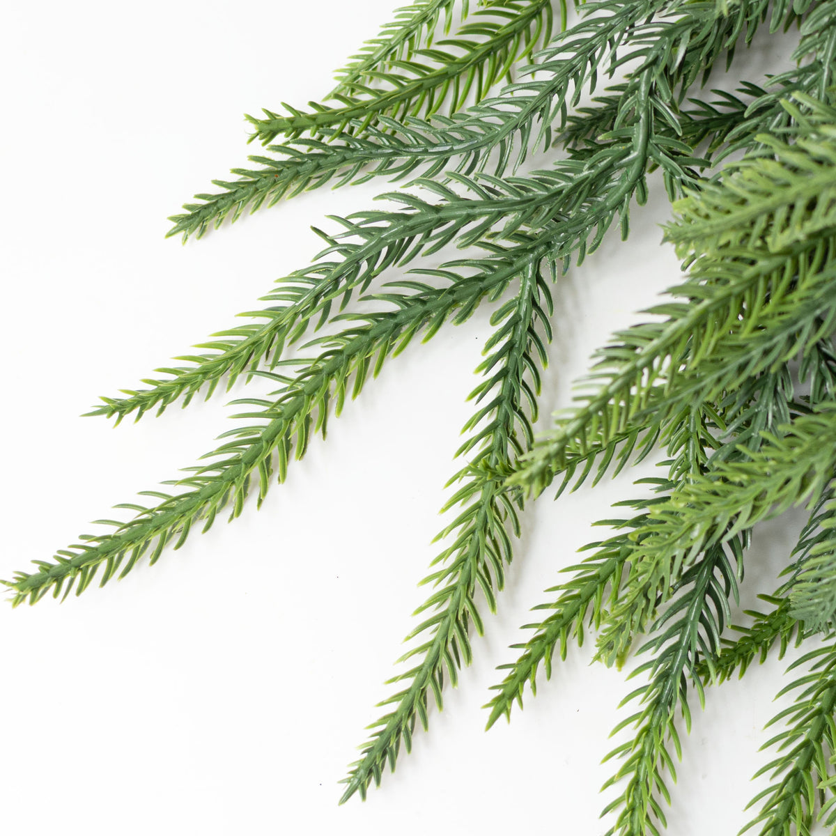 24" Norfolk Pine Hanging Wreath: Evergreen (114 Tips) detail photo 3