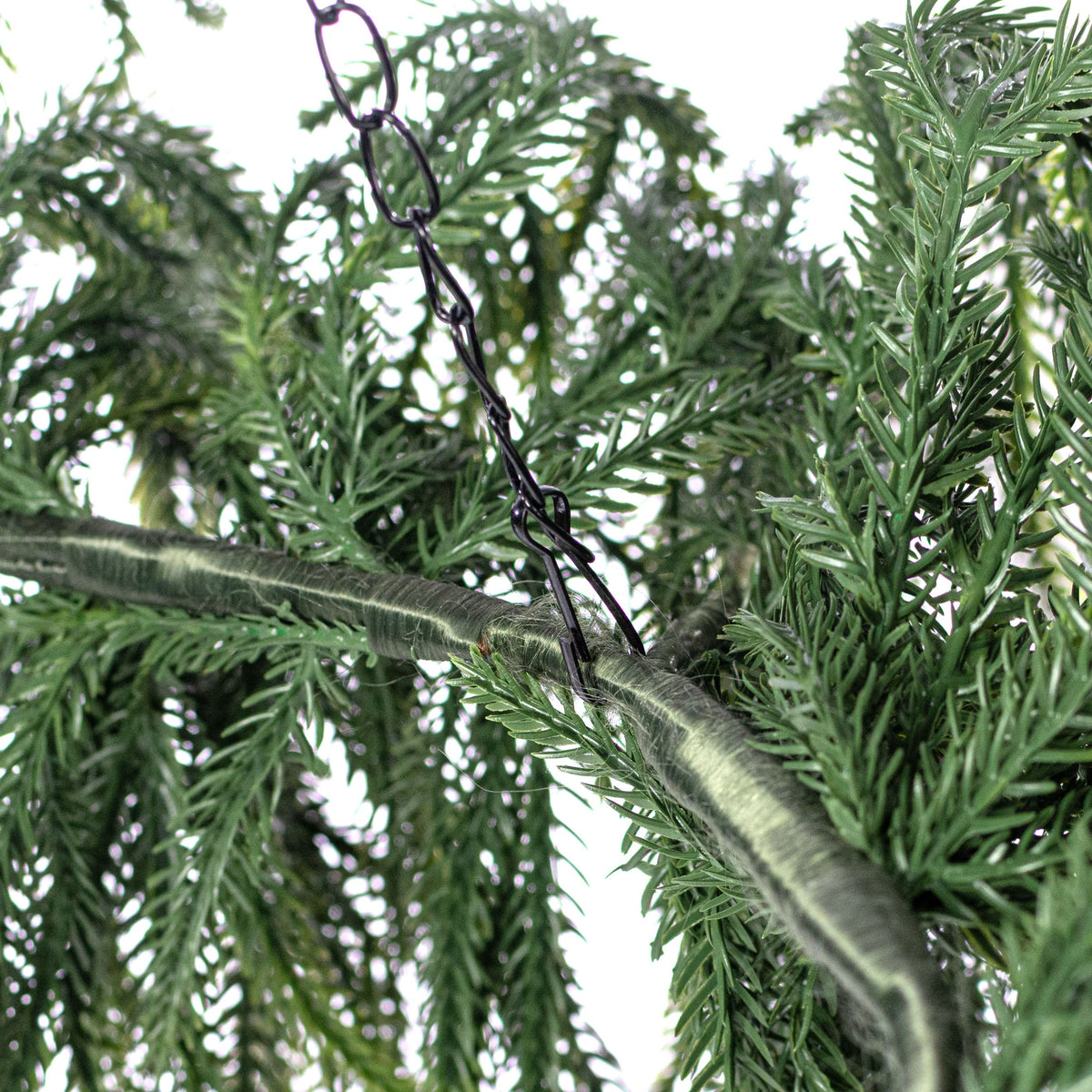 24" Norfolk Pine Hanging Wreath: Evergreen (114 Tips) detail photo 4