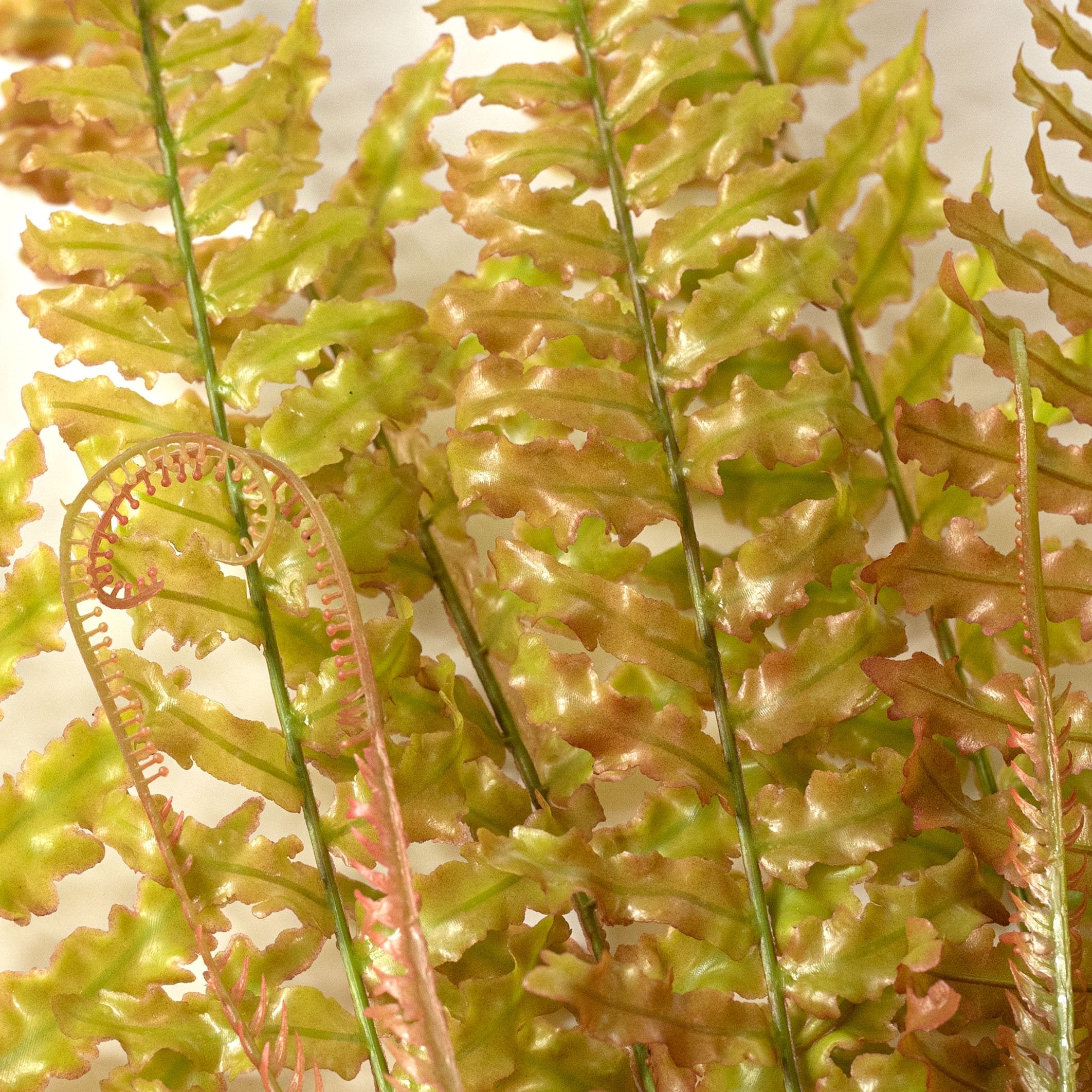 24" Plastic Boston Fern Bush: Green & Brown Lifestyle Photo