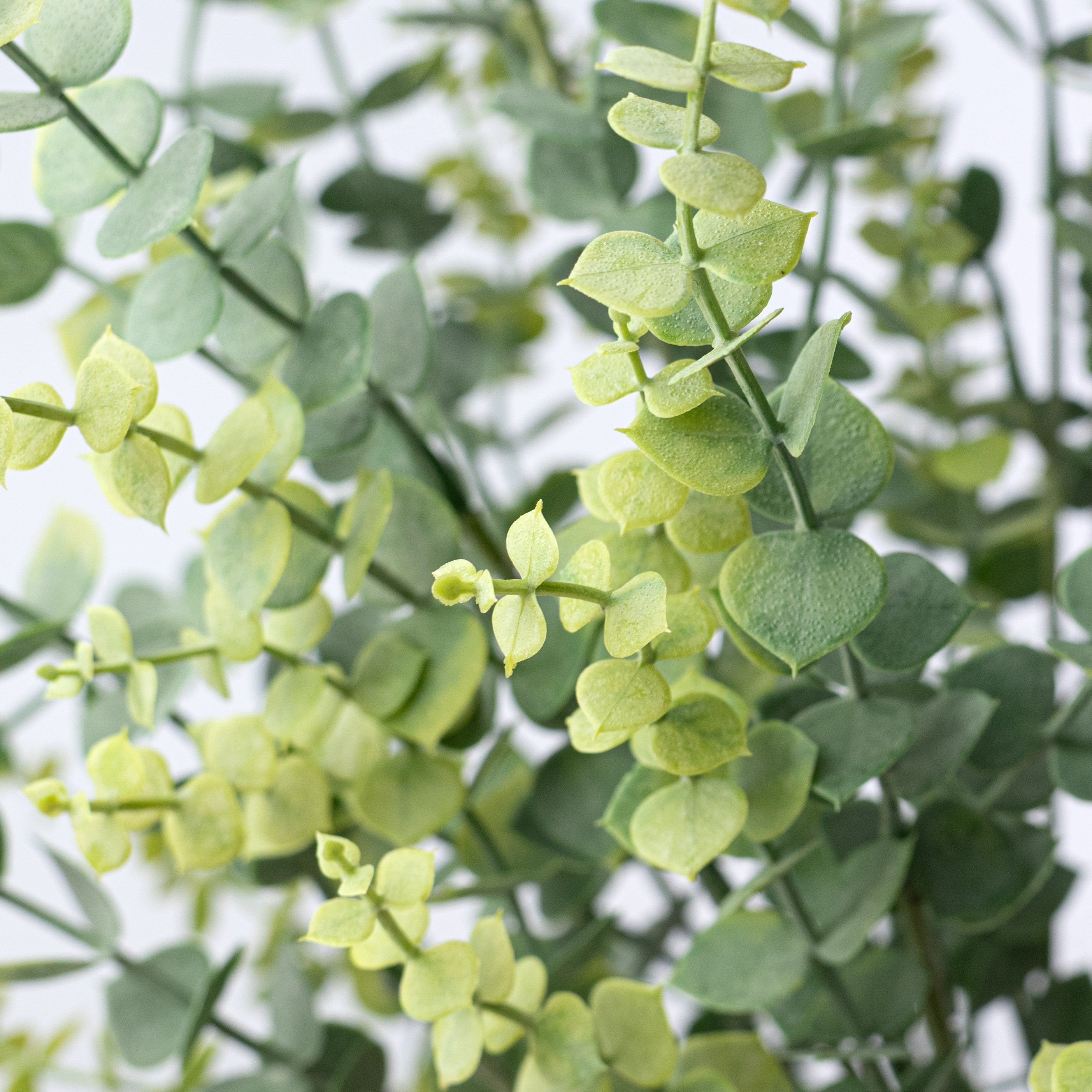 24" Plastic Eucalyptus Bush: Light Two-Tone Green Lifestyle Photo