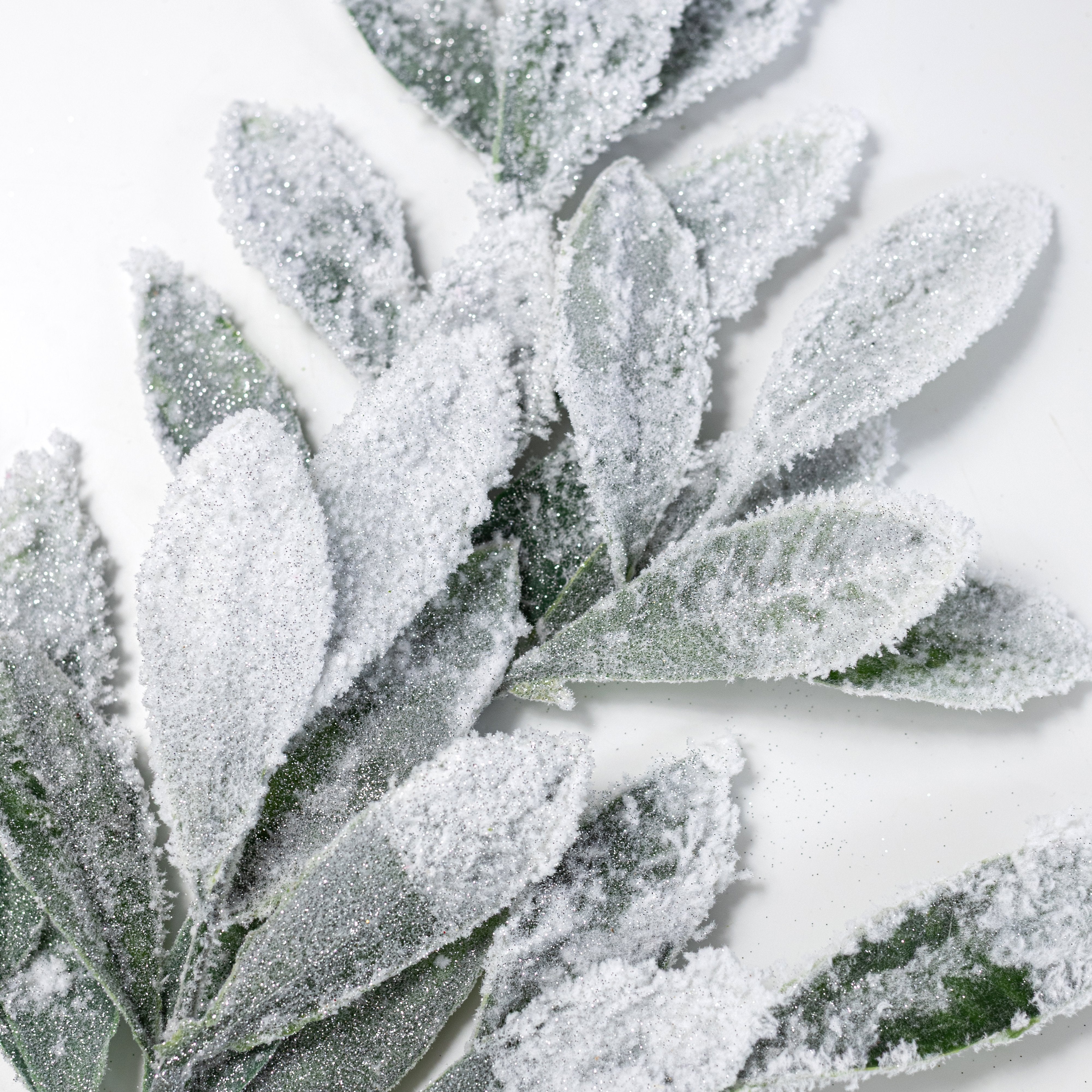 24" Snow Covered Bay Leaf Spray Lifestyle Photo
