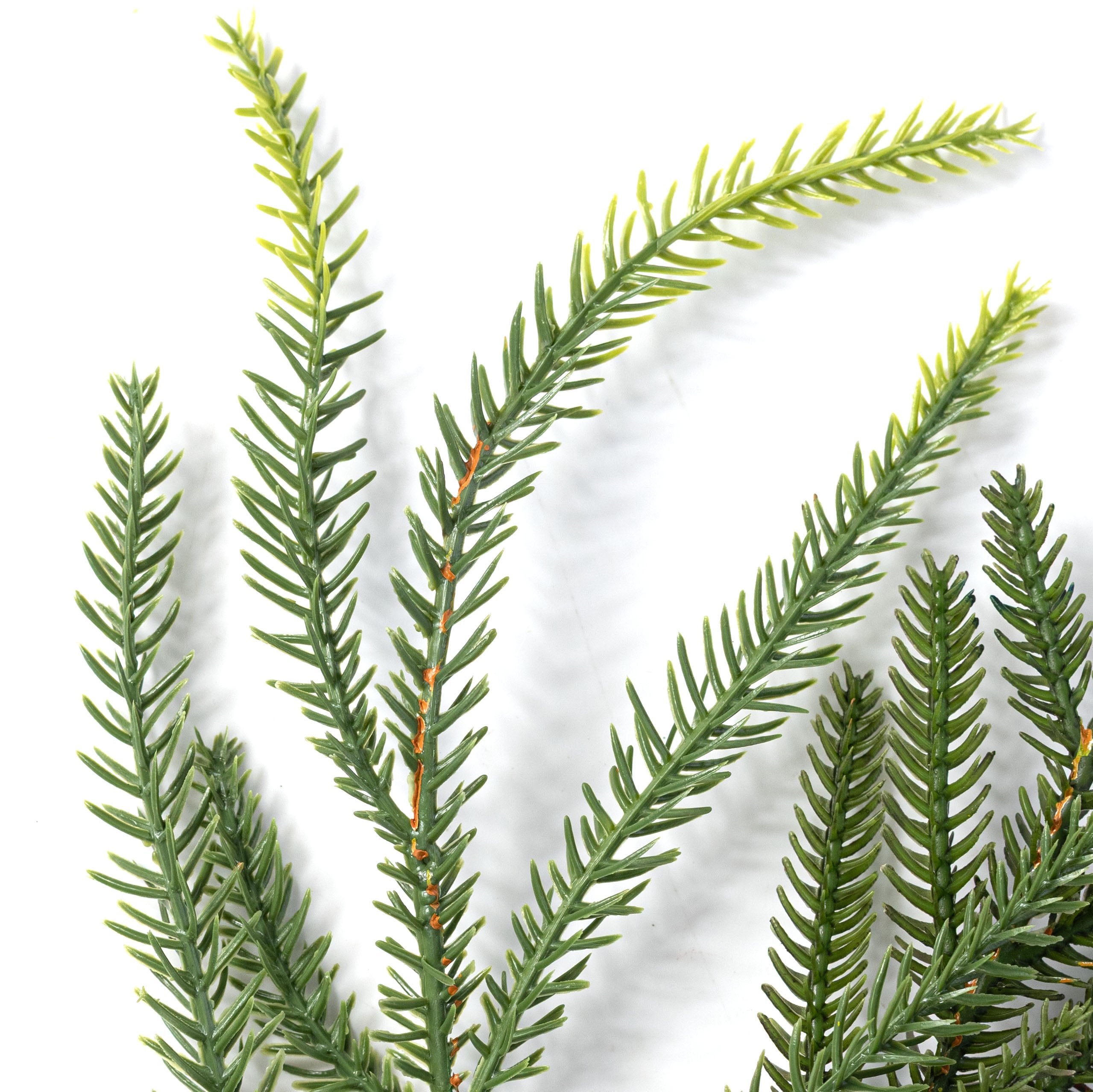 24" Soft Touch Cypress with Norfolk Pine Spray Lifestyle Photo