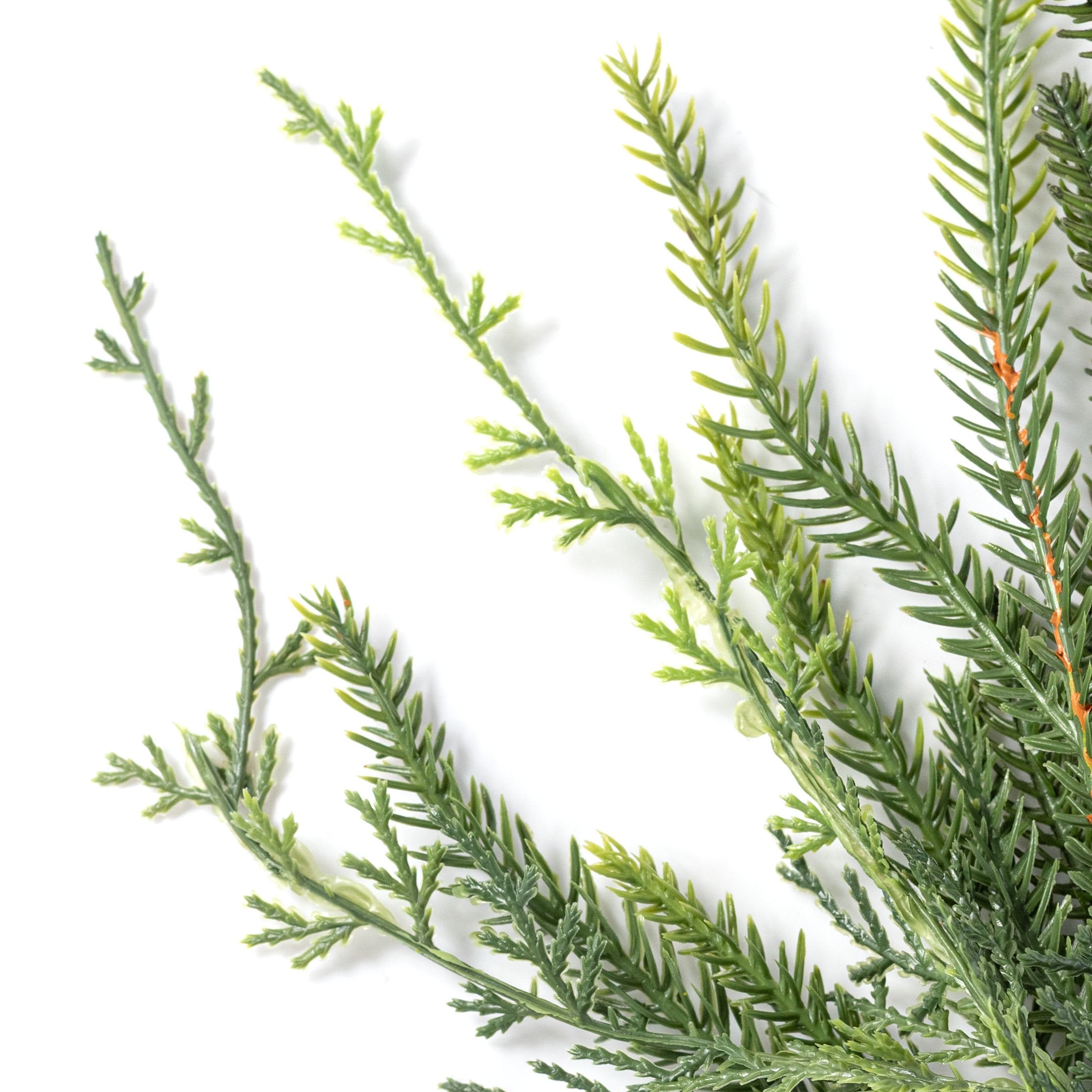 24" Soft Touch Cypress with Norfolk Pine Spray detail photo 4