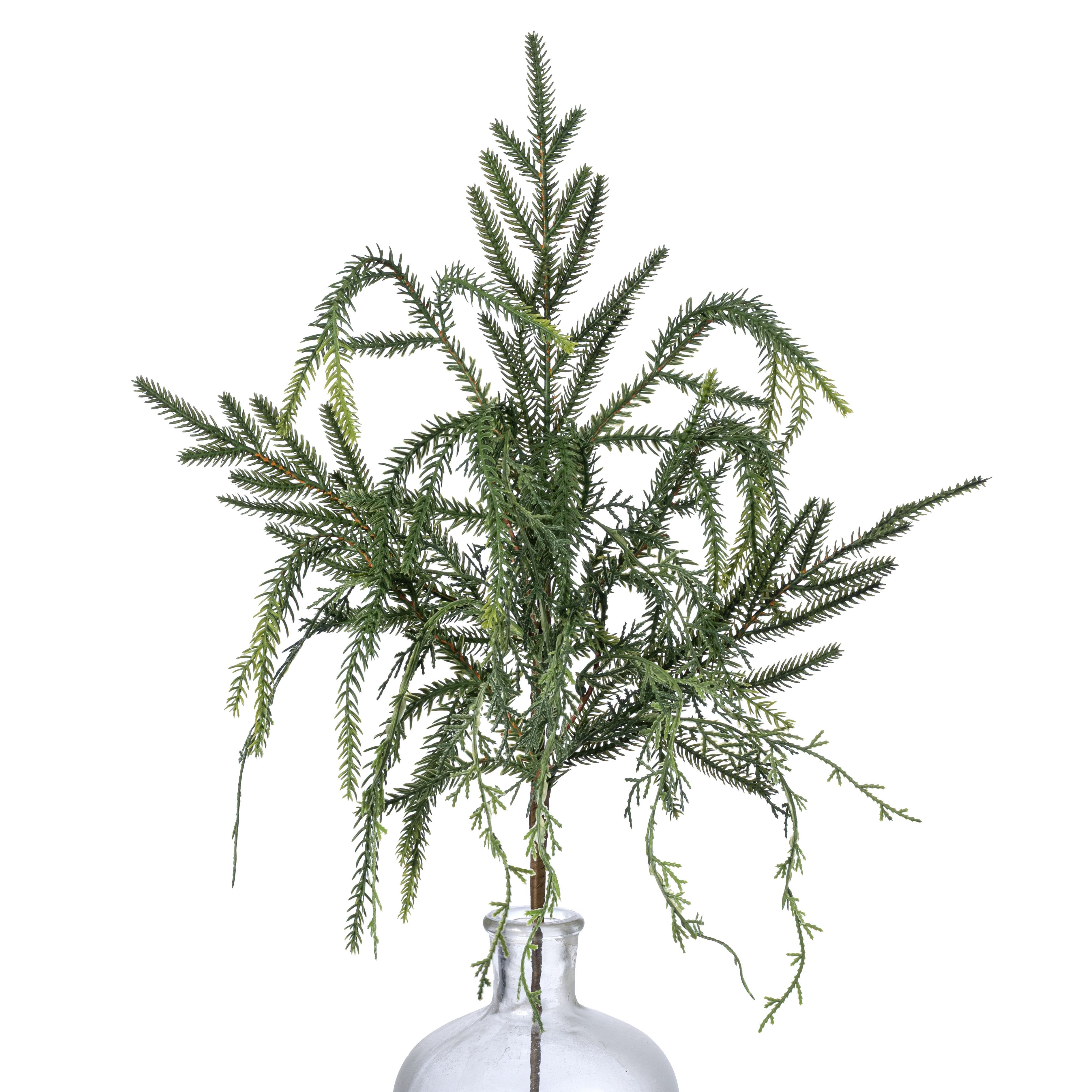 24" Soft Touch Cypress with Norfolk Pine Spray Item Number: 511507