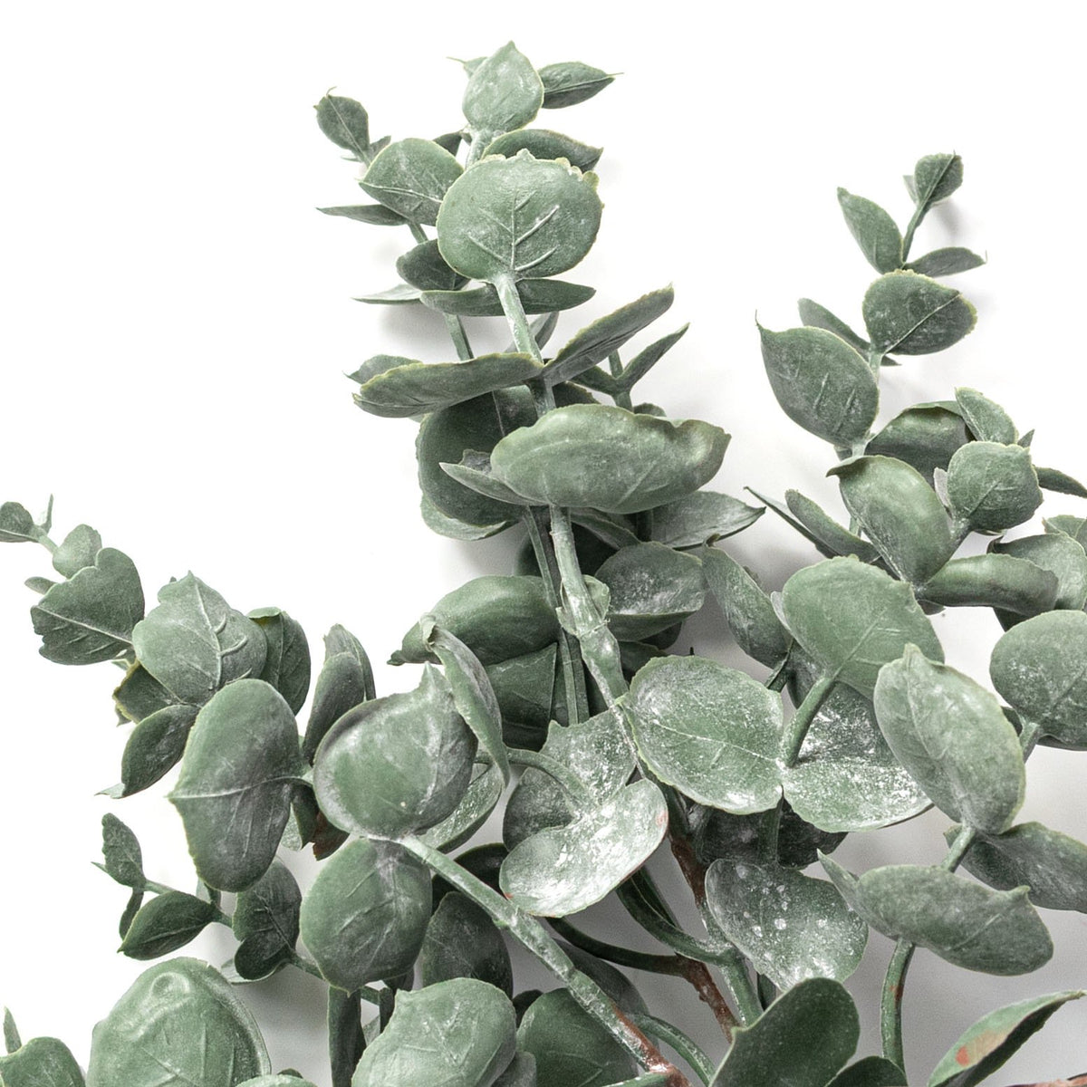 24" Soft Touch Eucalyptus Spray: Powdered Green Lifestyle Photo