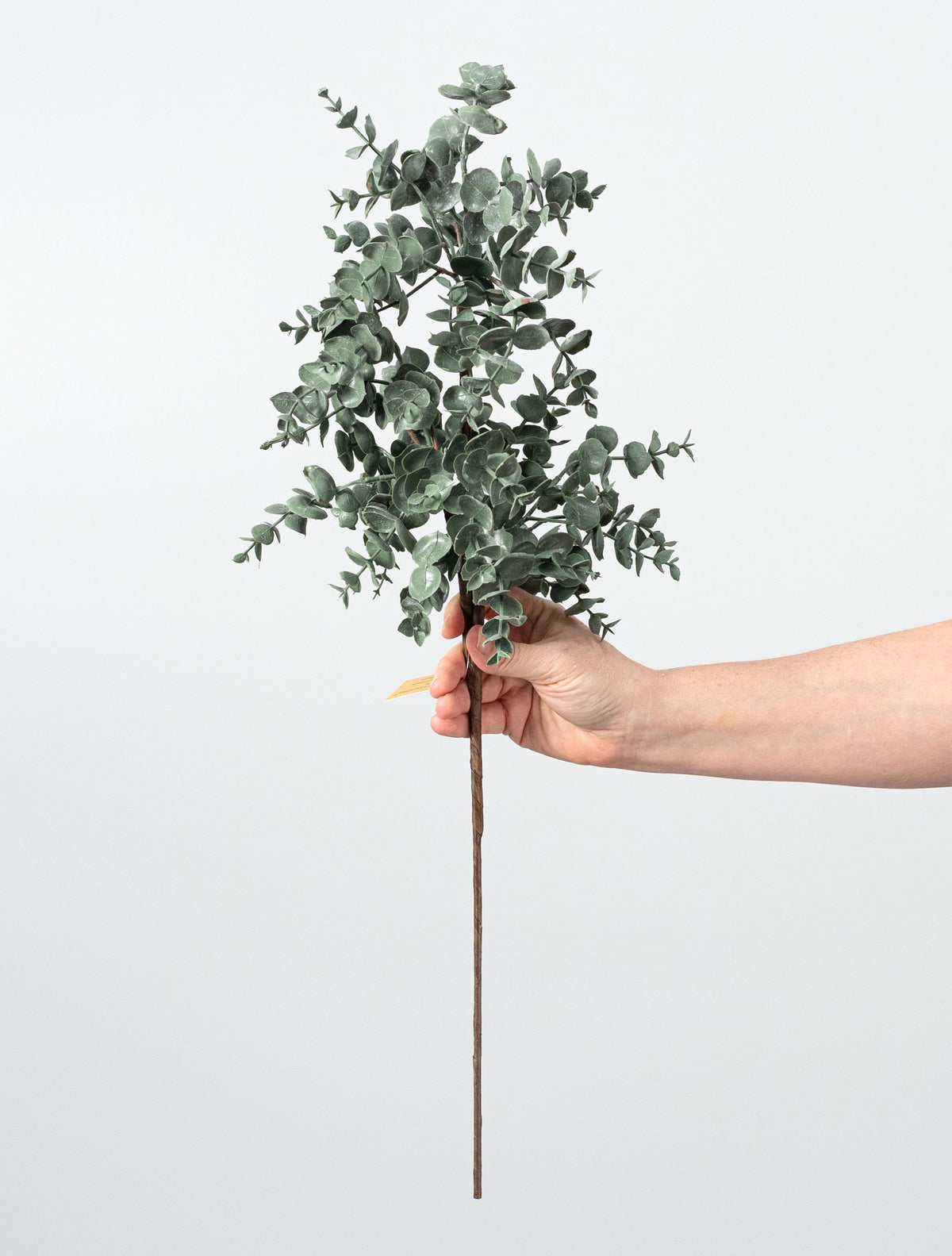 24" Soft Touch Eucalyptus Spray: Powdered Green detail photo 3