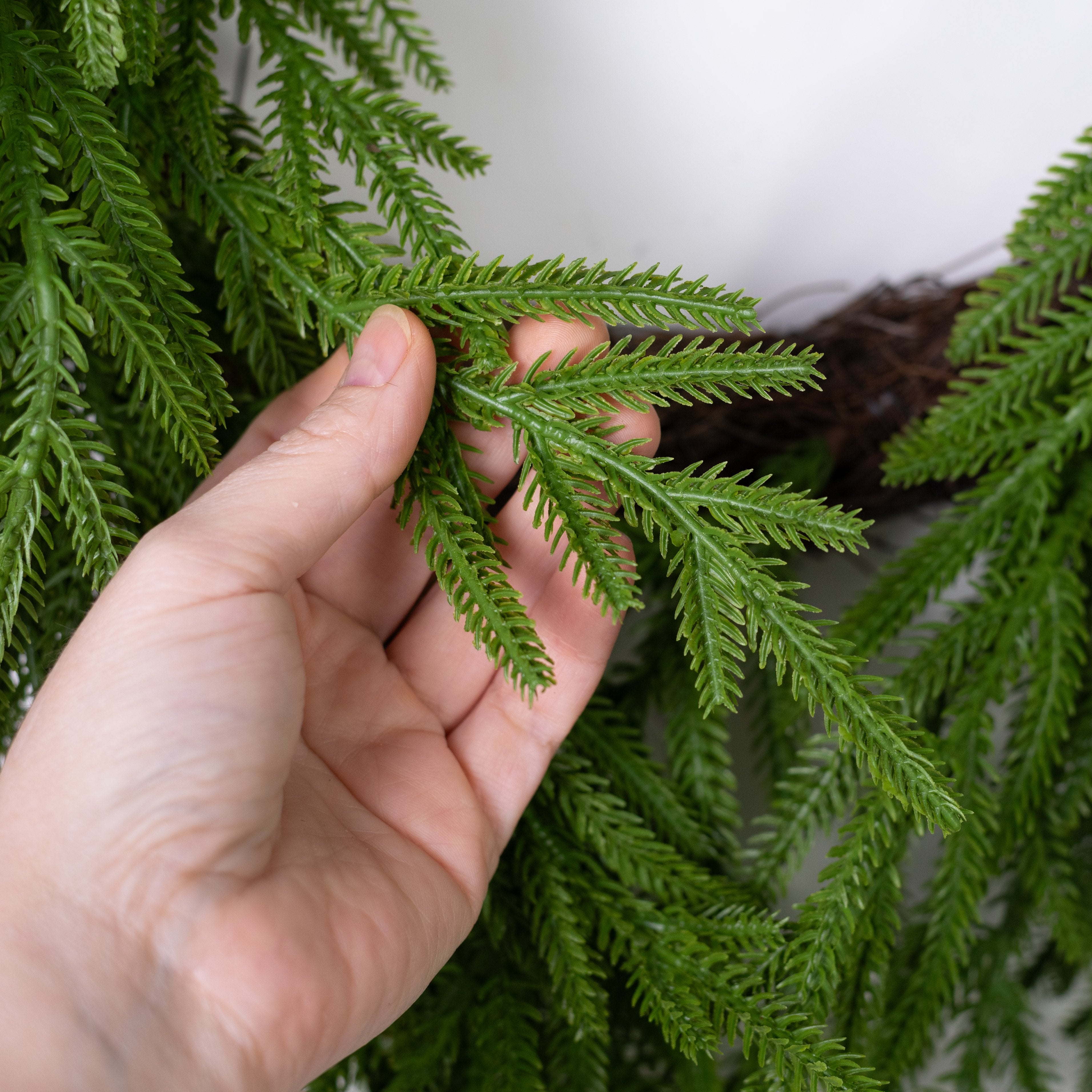 24" Soft Touch Norfolk Pine Teardrop Wreath detail photo 3