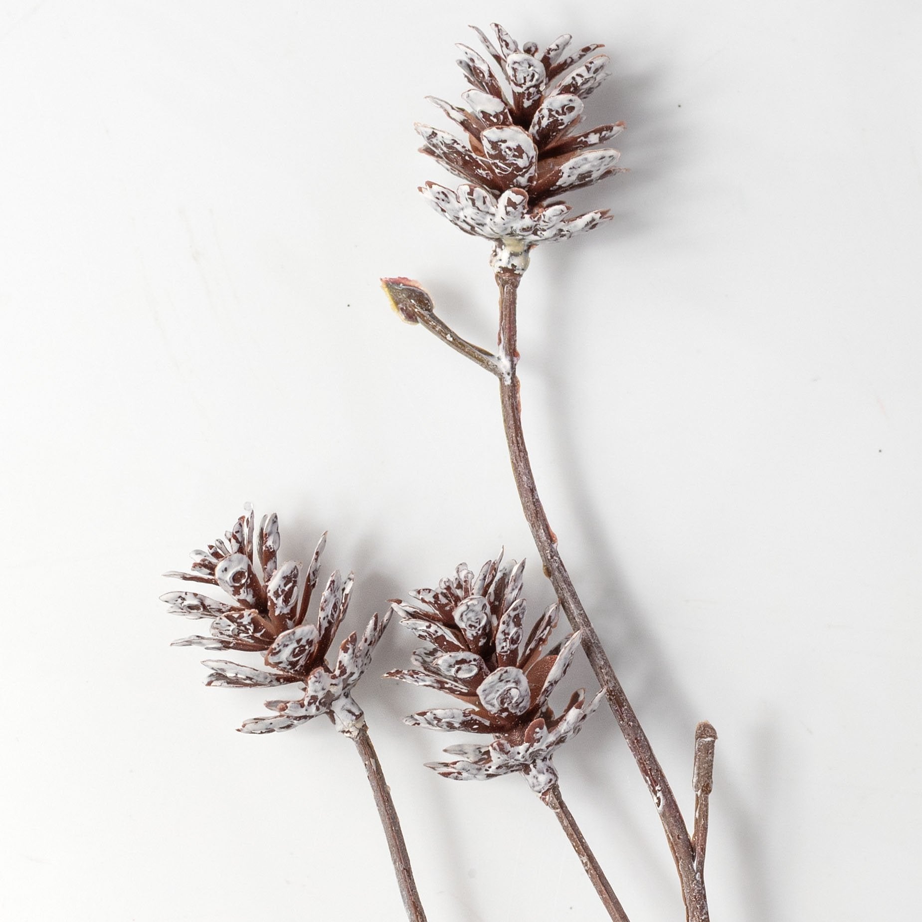 24" Whitewash Pinecone Bush: White & Natural Lifestyle Photo